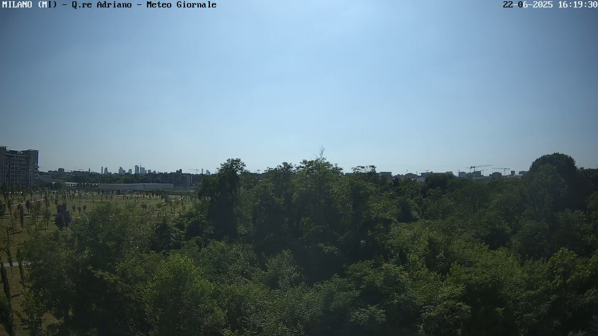 A lush green park with a distant city skyline under a clear blue sky.