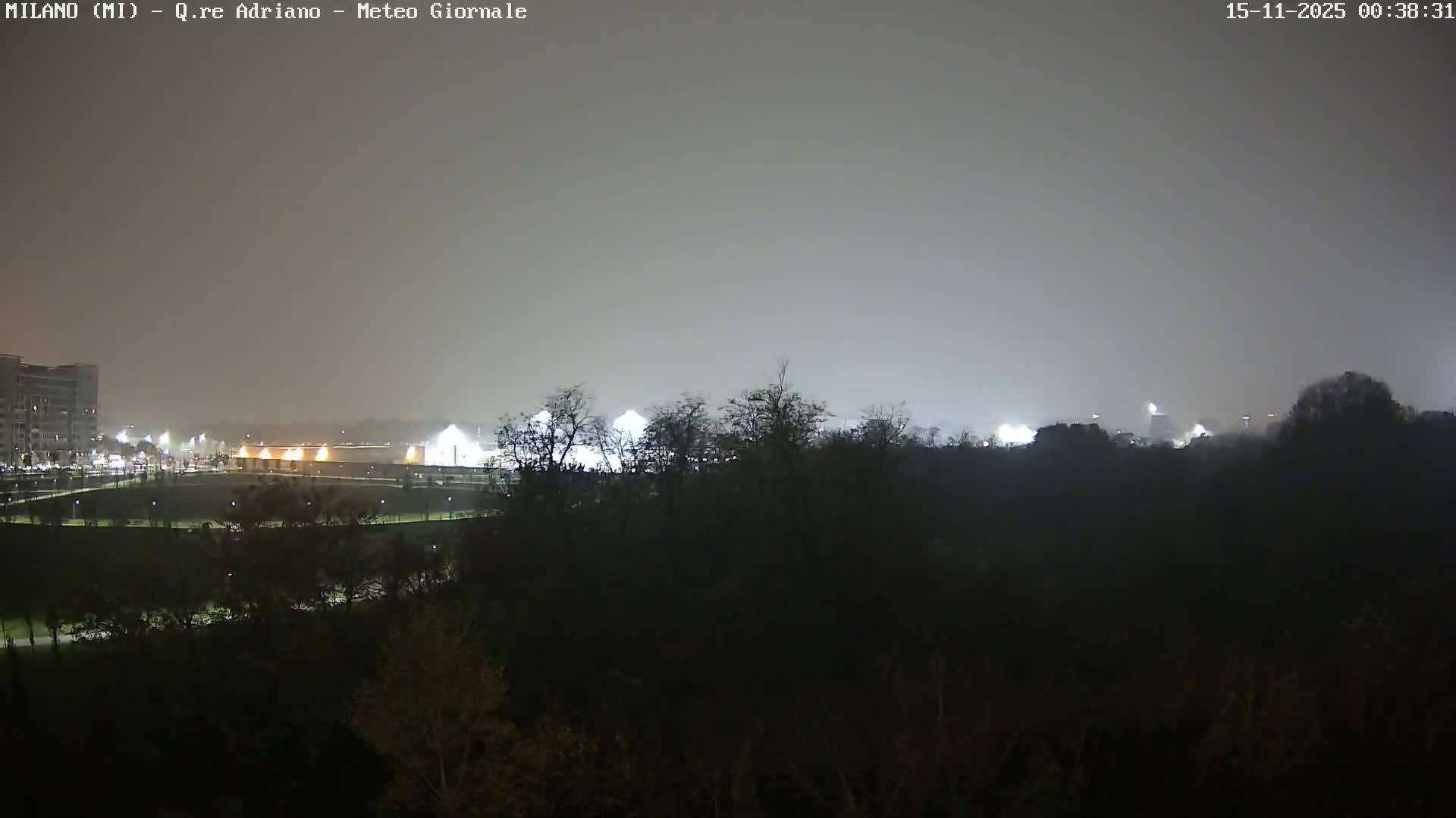 A foggy night view captures an urban park with dark trees in the foreground, illuminated by distant city lights and structures under a hazy sky.
