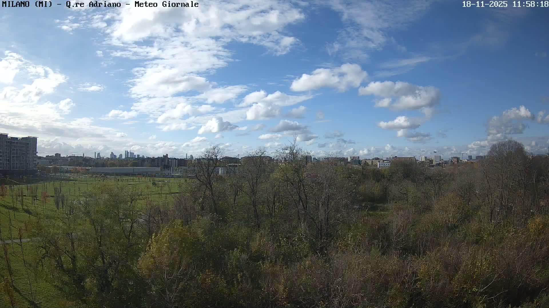 The scene depicts a park with scattered trees, some bare and some retaining muted green leaves, and distant buildings partially obscured by dense, widespread fog.