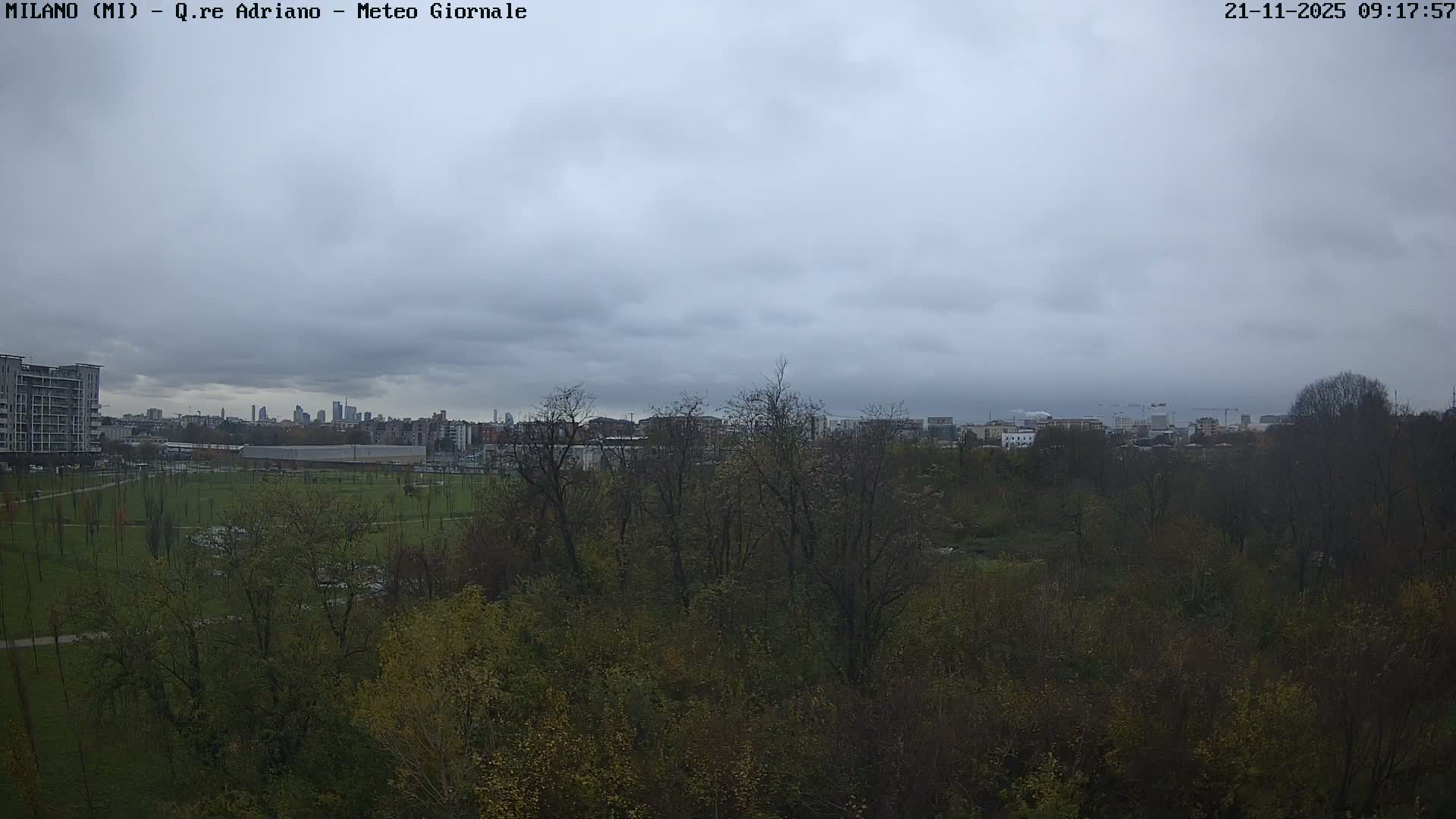 A broad view captures an urban park with green grass and scattered trees in the foreground, transitioning to a dense cityscape with buildings and a distant skyline, all beneath a uniformly overcast sky.