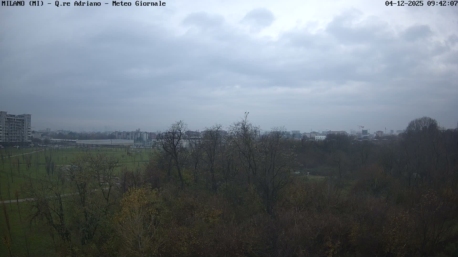 On an overcast and hazy day, a wide outdoor view features a park with mostly bare trees in the foreground, stretching towards a dense city skyline in the obscured distance.