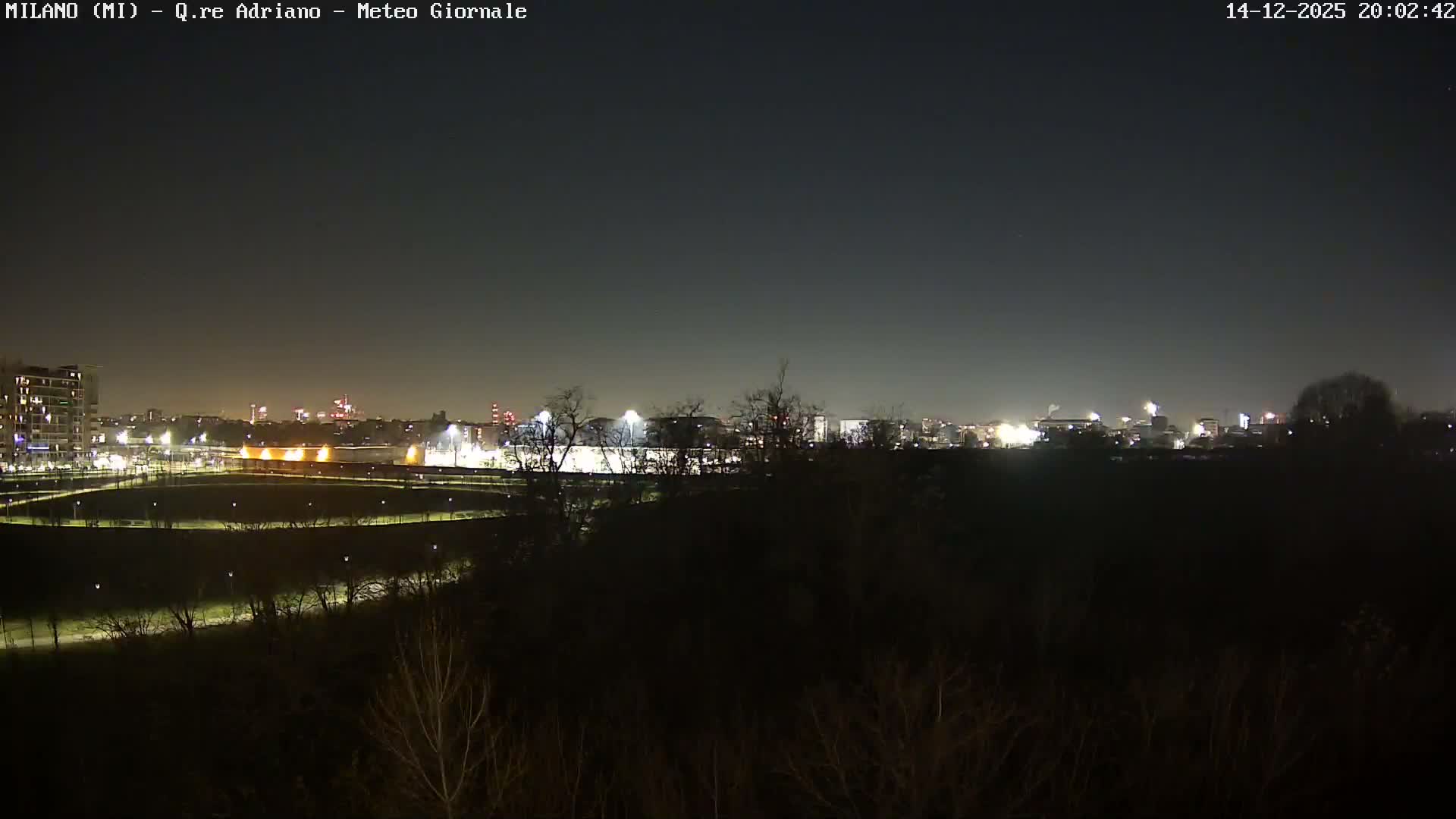 On an overcast and hazy day, a wide outdoor view features a park with mostly bare trees in the foreground, stretching towards a dense city skyline in the obscured distance.