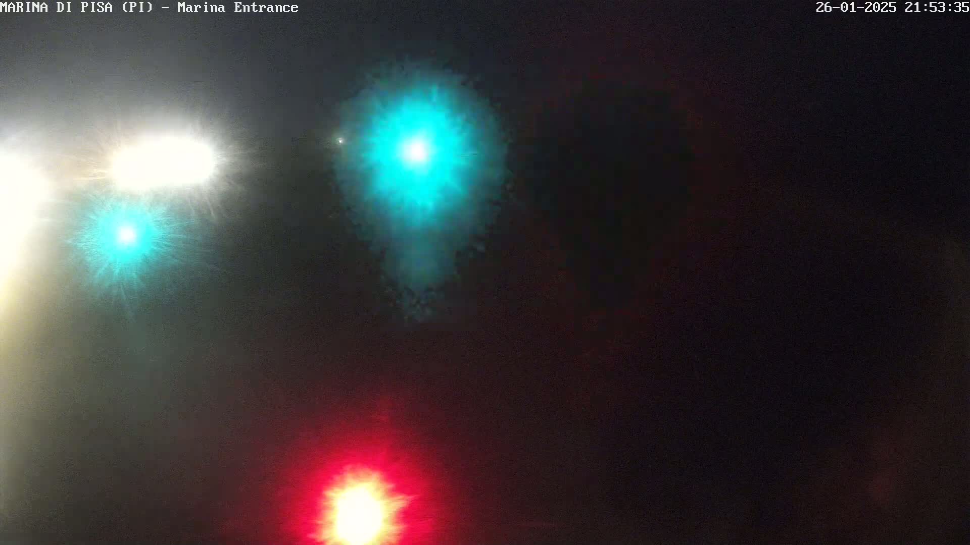 The image shows brightly lit traffic lights of varying colors in a foggy nighttime setting.