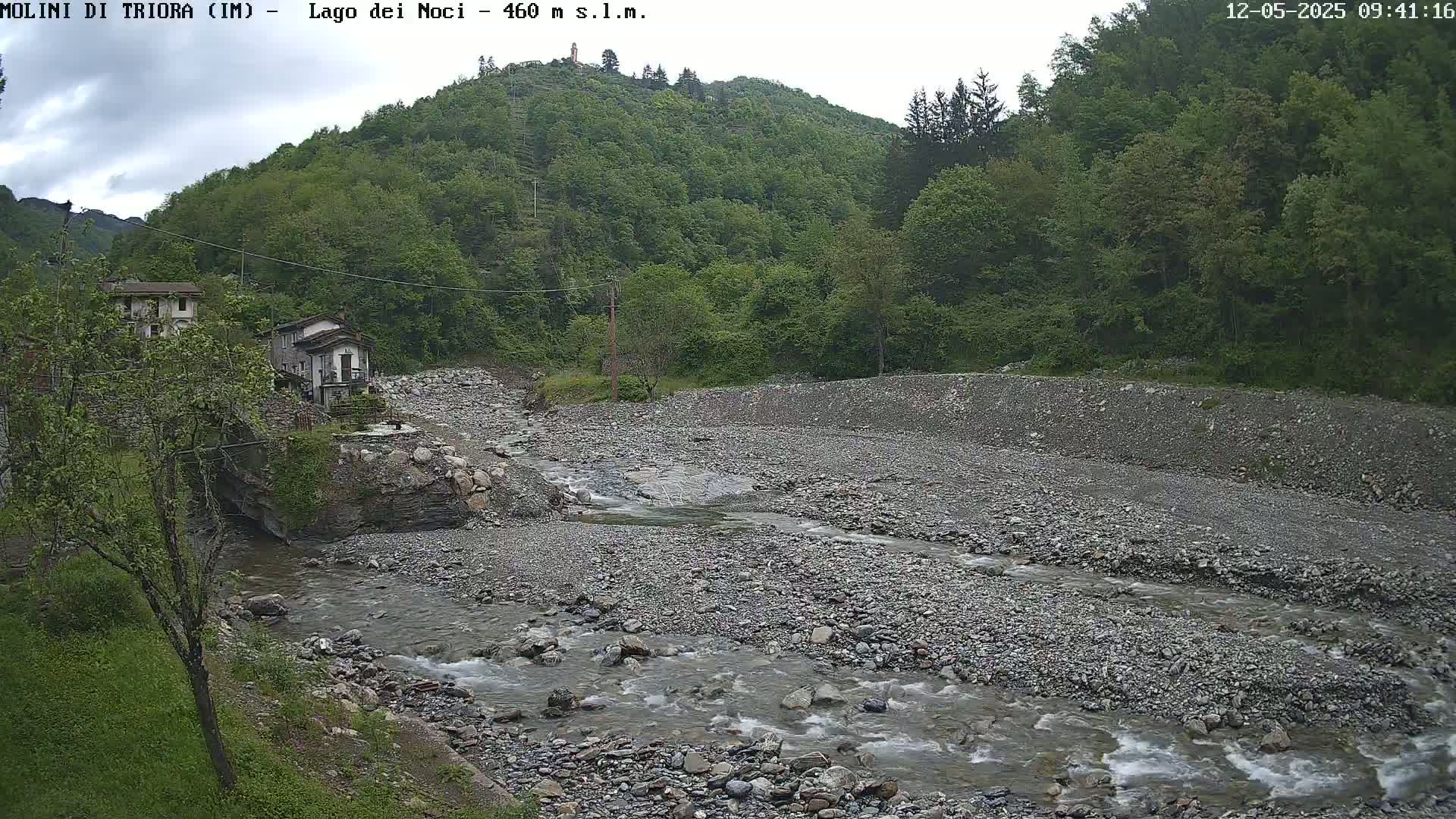 A rocky stream flows through a valley surrounded by lush green trees under an overcast sky.