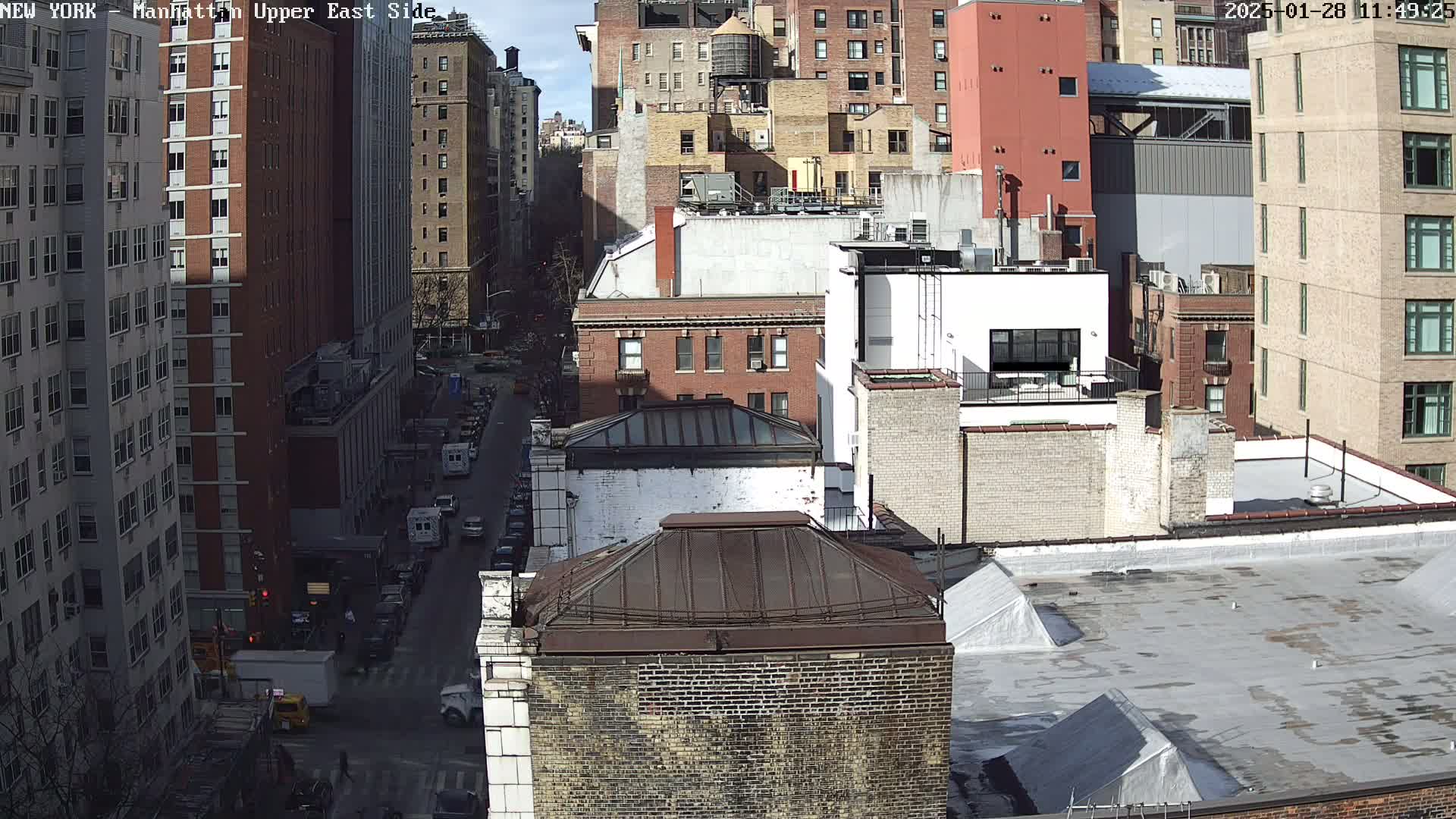 A high-angle, sunny-day view of a city street and numerous brick buildings, with vehicles visible on the street below.