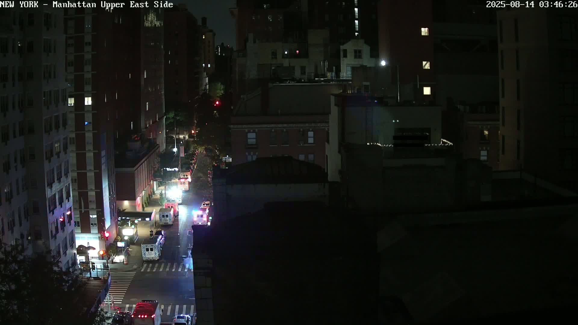 At night, several emergency vehicles are parked on a city street between dark buildings under a clear sky.