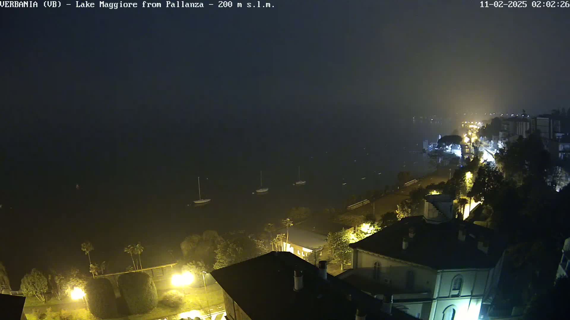A nighttime, foggy view of a lake with several sailboats, illuminated buildings, and trees along the shoreline.