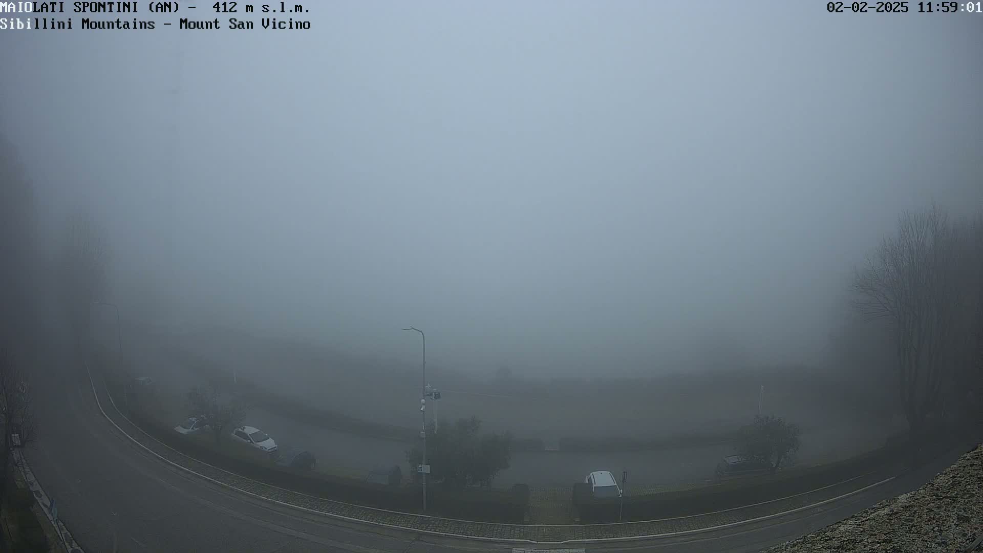 A curving road and several cars are barely visible through dense fog.