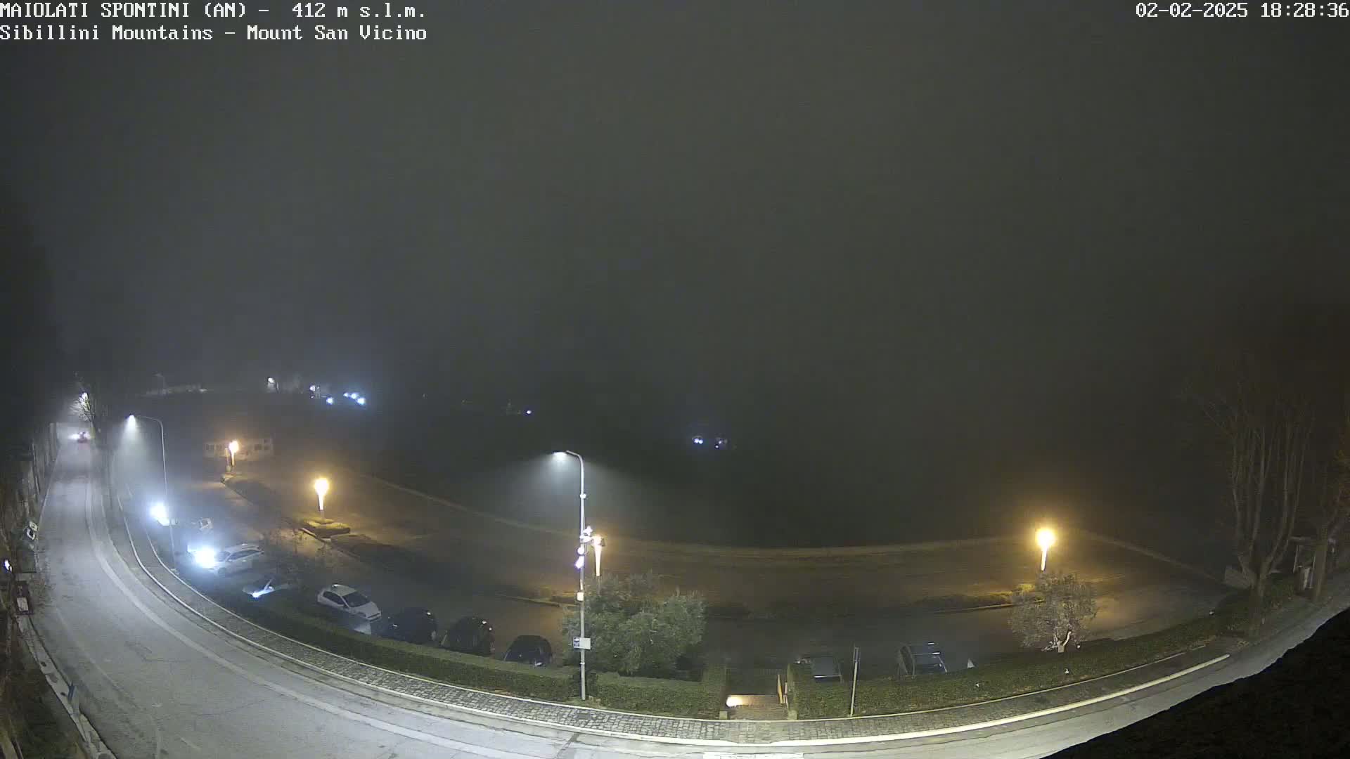 A foggy nighttime view of a curving road with parked cars and streetlights, overlooking a dark expanse.