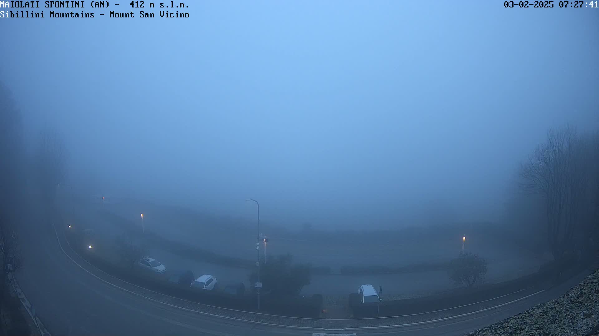 A foggy, pale-blue morning scene shows a curved road with several parked cars, and a few streetlights visible through the thick fog.
