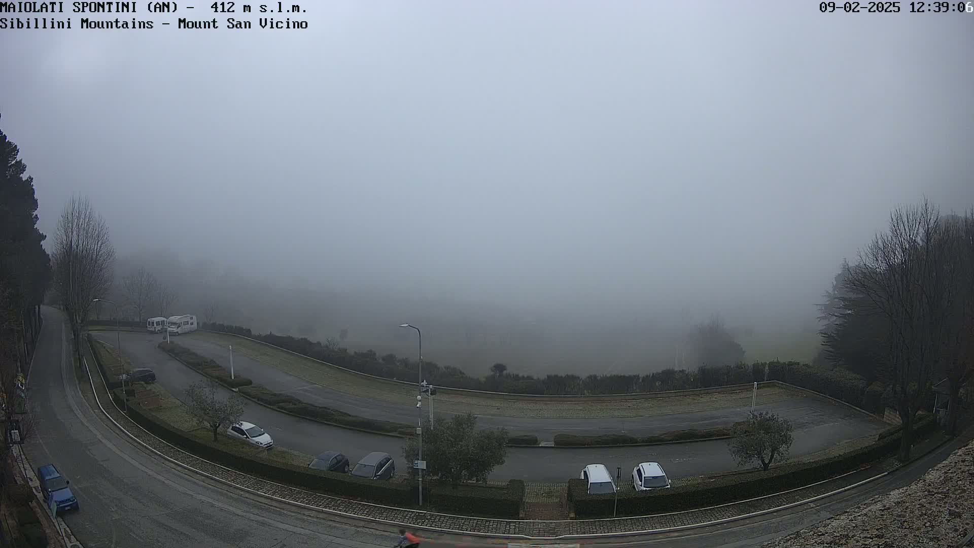 A foggy, overcast view of a winding road with parked cars and a few recreational vehicles in a parking lot, surrounded by sparse trees.