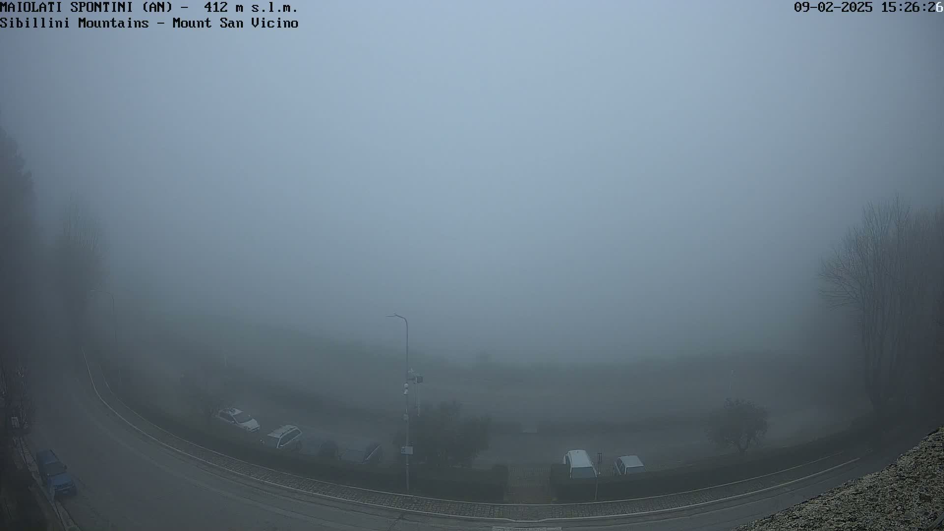 A thick fog obscures a view of a curved road and a parking lot with several cars, sparsely populated trees, and a single lamppost.