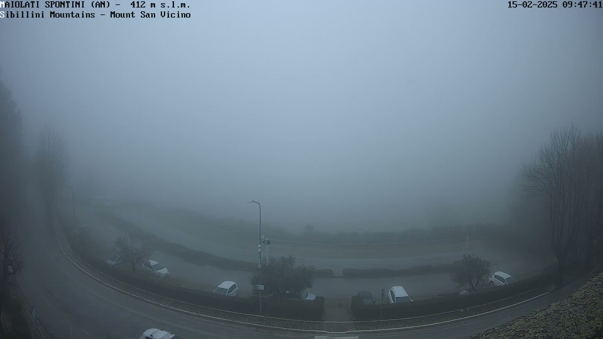 A foggy view of a curved road with parked cars and trees, visible in the distance.