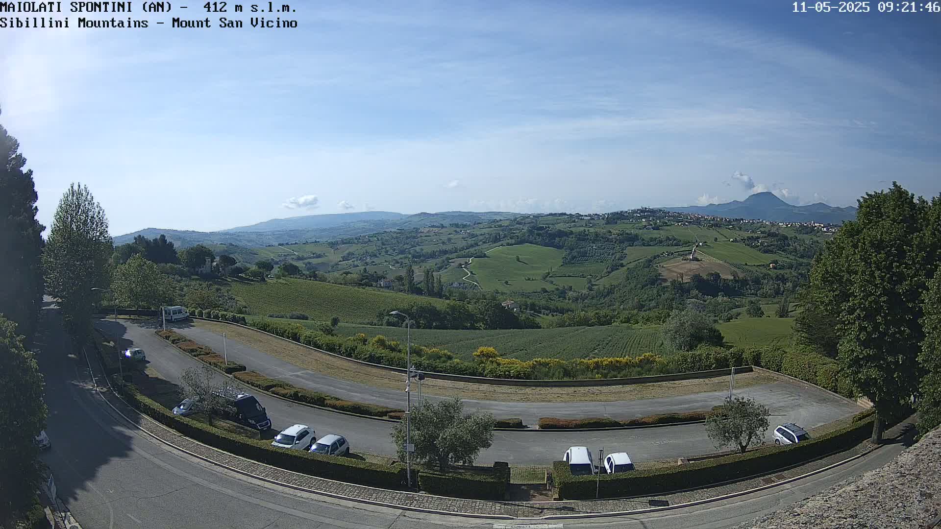 A parking lot with several cars overlooks a sunlit, hilly landscape dotted with vineyards and trees under a mostly clear sky.