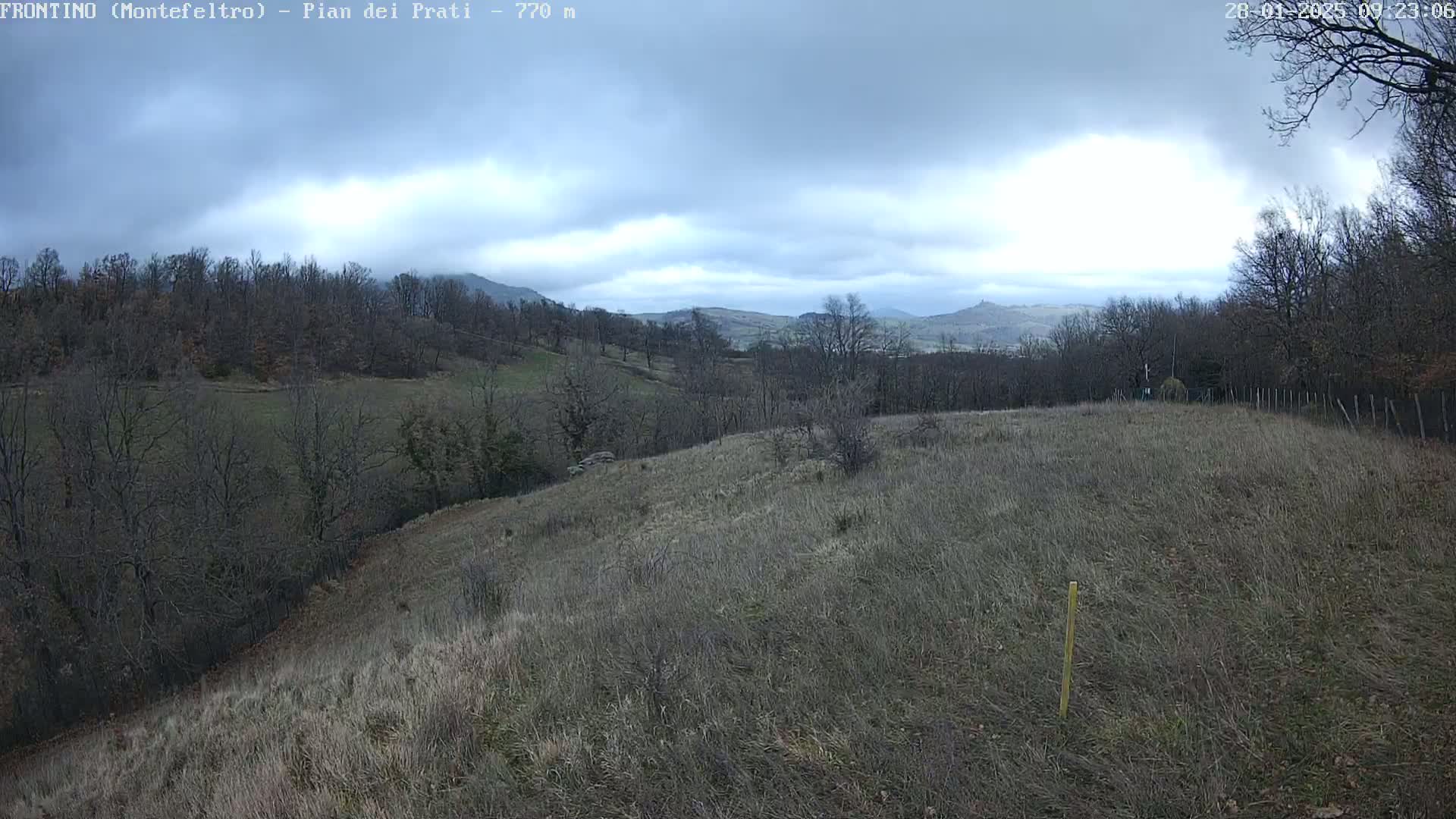 A view of a hilly landscape with bare, winter trees under a cloudy sky.