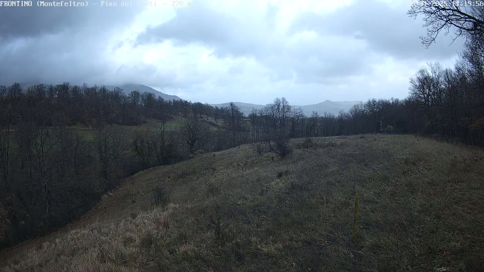 A gently sloping grassy hillside covered in sparse, dry vegetation overlooks a line of leafless trees and distant mountains under a cloudy sky.