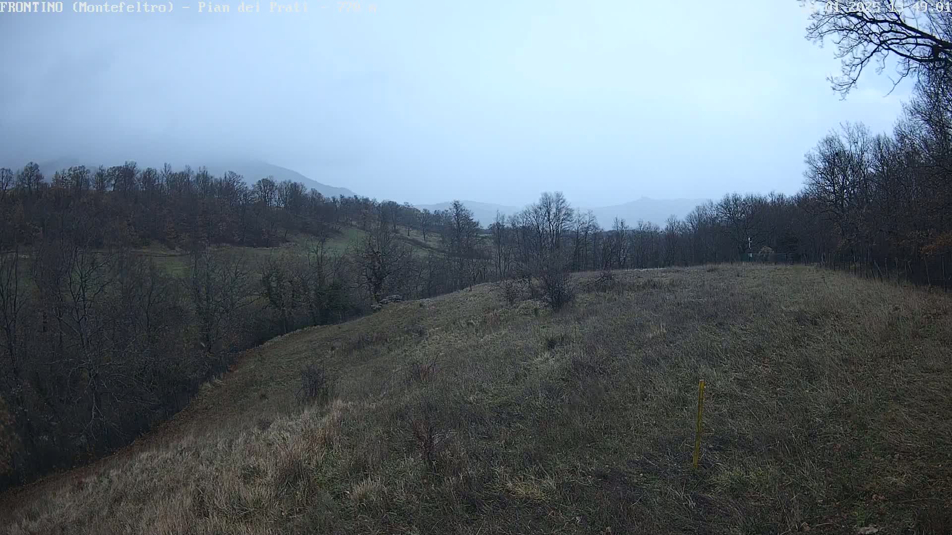 A view of a hilly landscape with bare trees under an overcast sky.