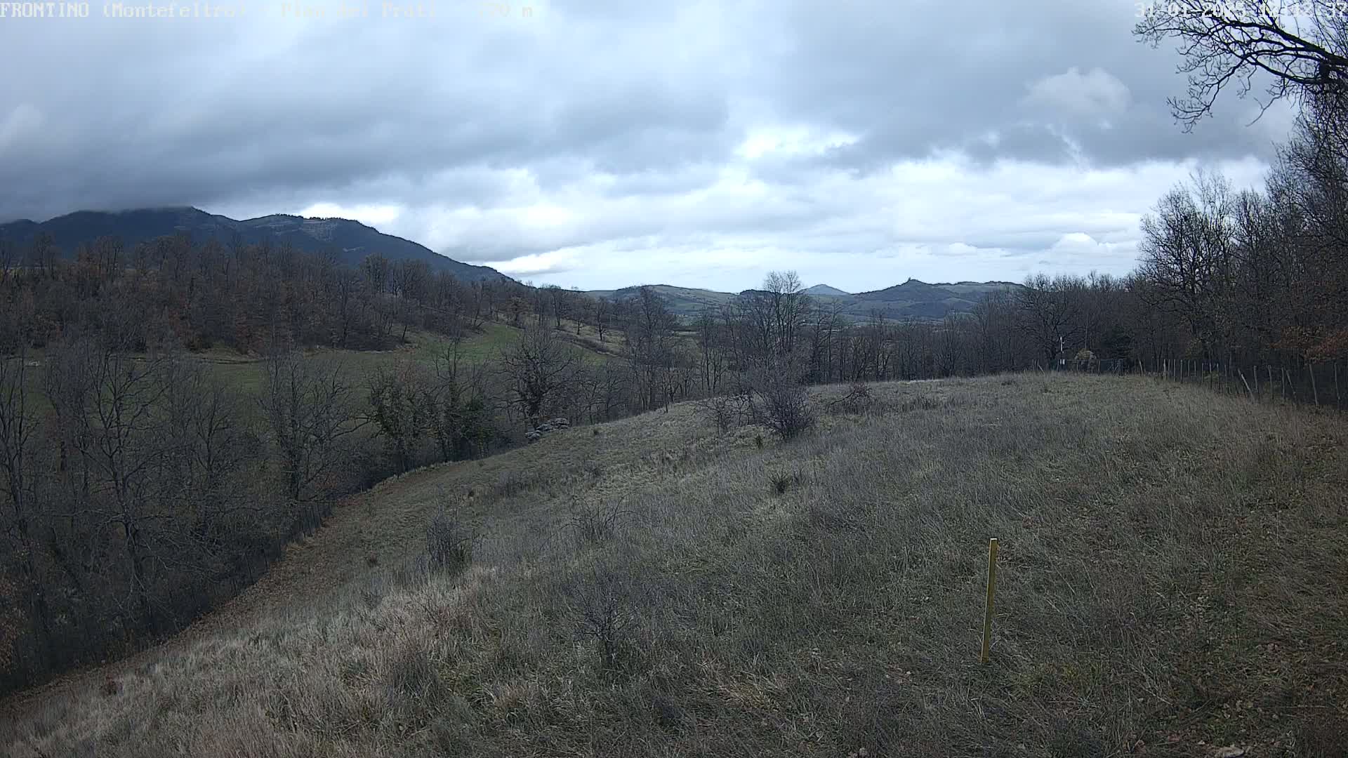 A view of a hilly landscape under a cloudy sky shows bare, winter trees and dry, brown grass covering the foreground and rolling hills in the background.