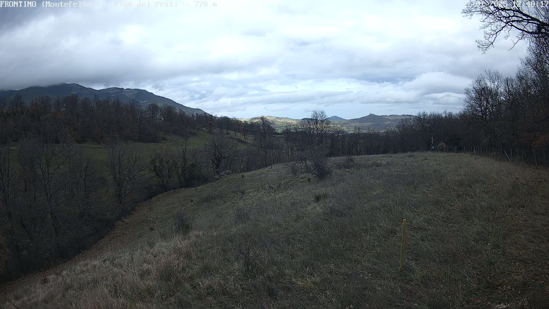 A view of a hilly landscape with bare trees and dry grass under a cloudy sky.