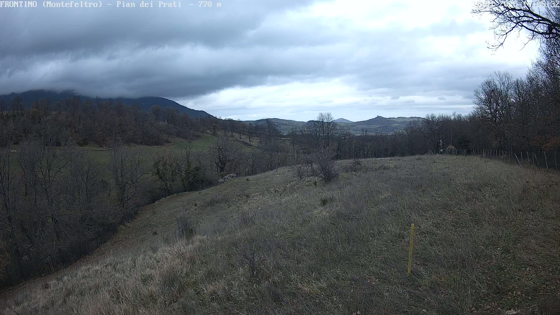 A view of a hilly landscape under a cloudy sky, featuring bare, winter trees and dry, brown grasses.