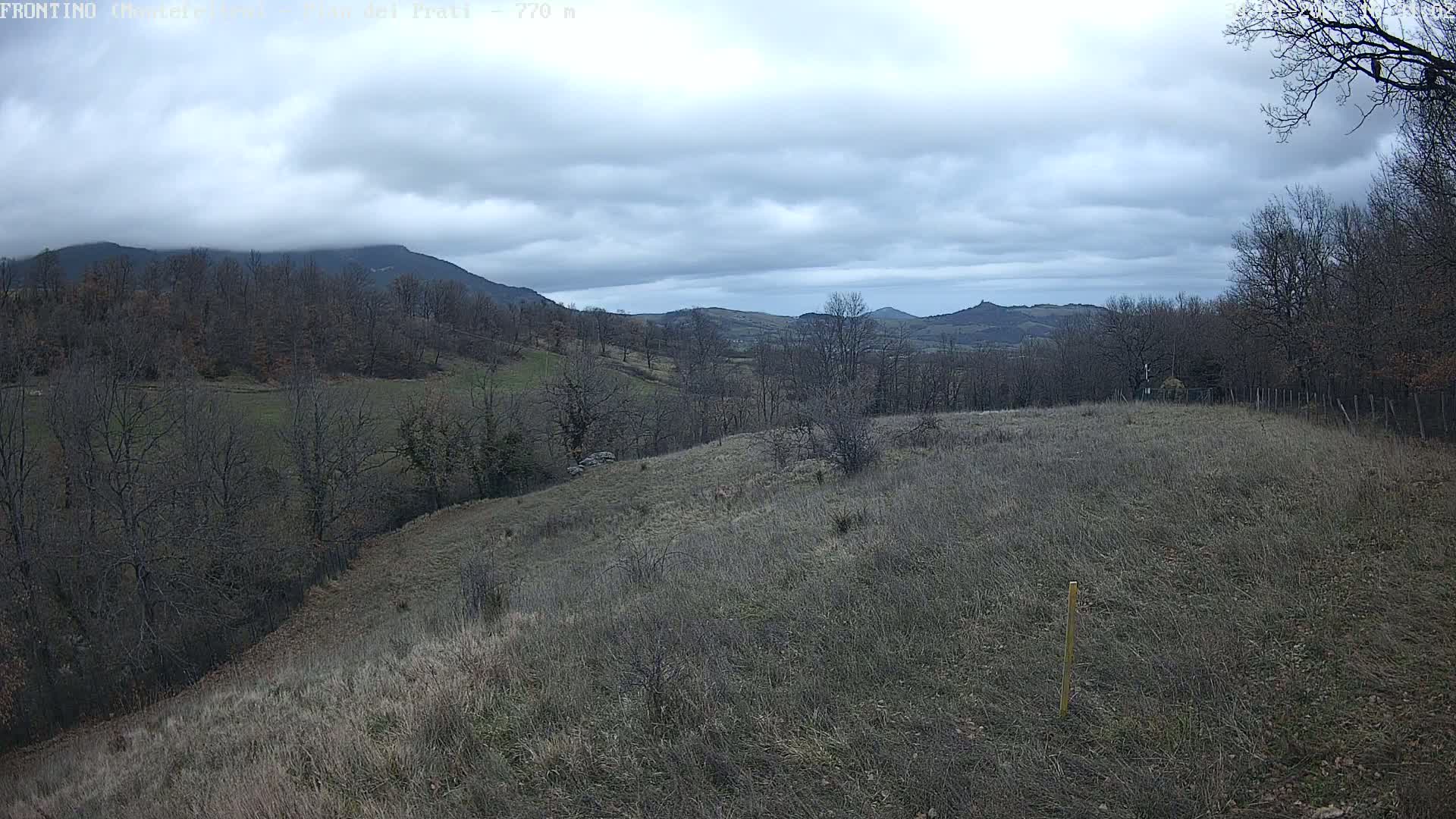 A view of a hilly landscape under a cloudy sky shows leafless trees and dry, brown grass, with distant mountains in the background.