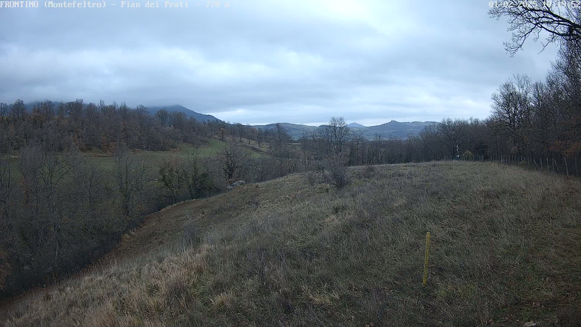 A view of a hilly landscape under a cloudy sky shows bare, winter trees and dry, brown grass covering the rolling hills and distant mountains.