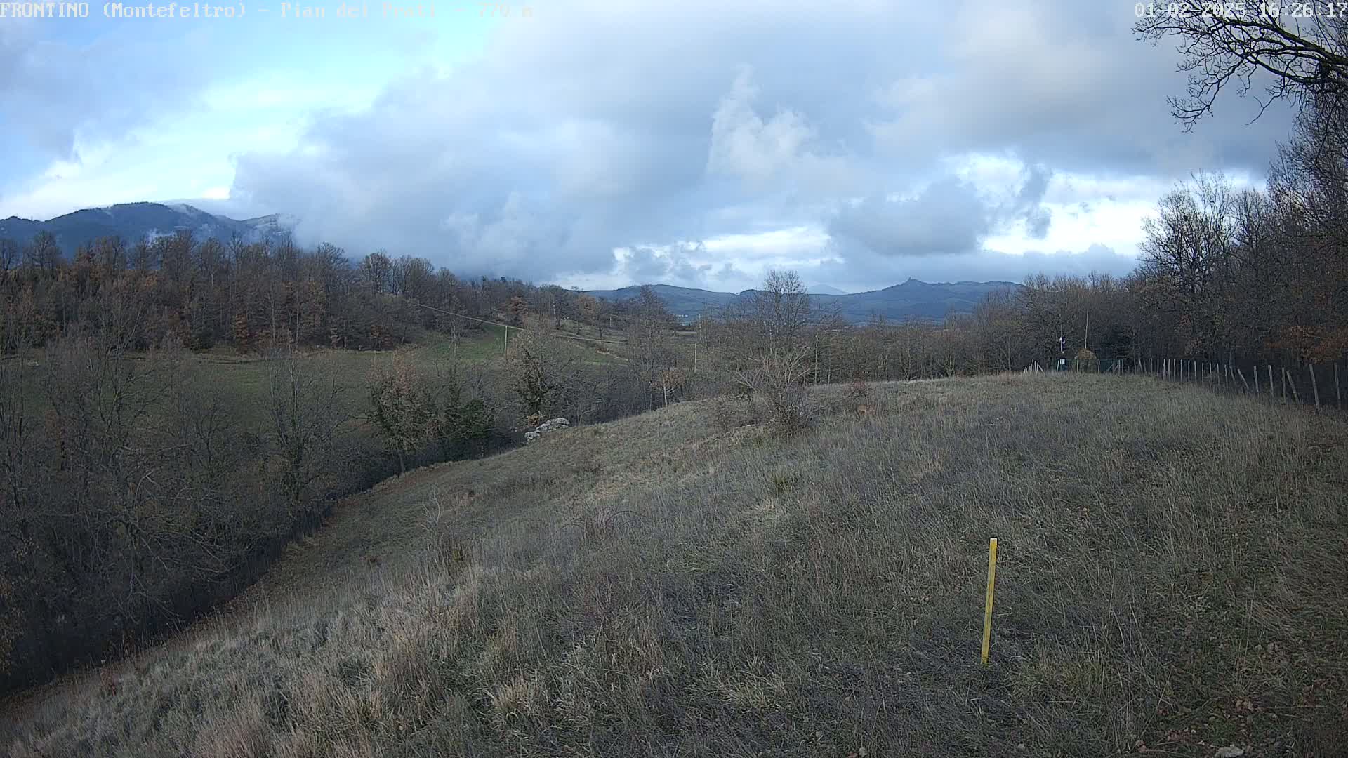 A rolling, grassy hillside dotted with leafless trees stretches towards distant mountains under a cloudy sky.