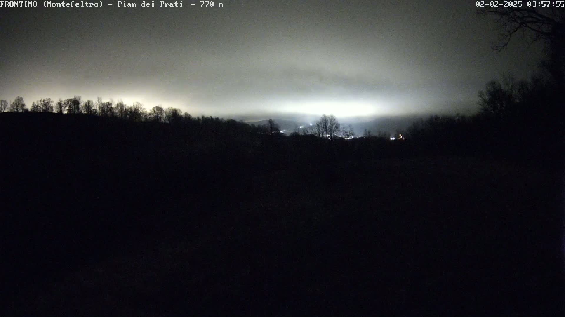 A nighttime landscape is visible under a foggy, dimly lit sky, showing a line of dark trees silhouetted against a brighter horizon.