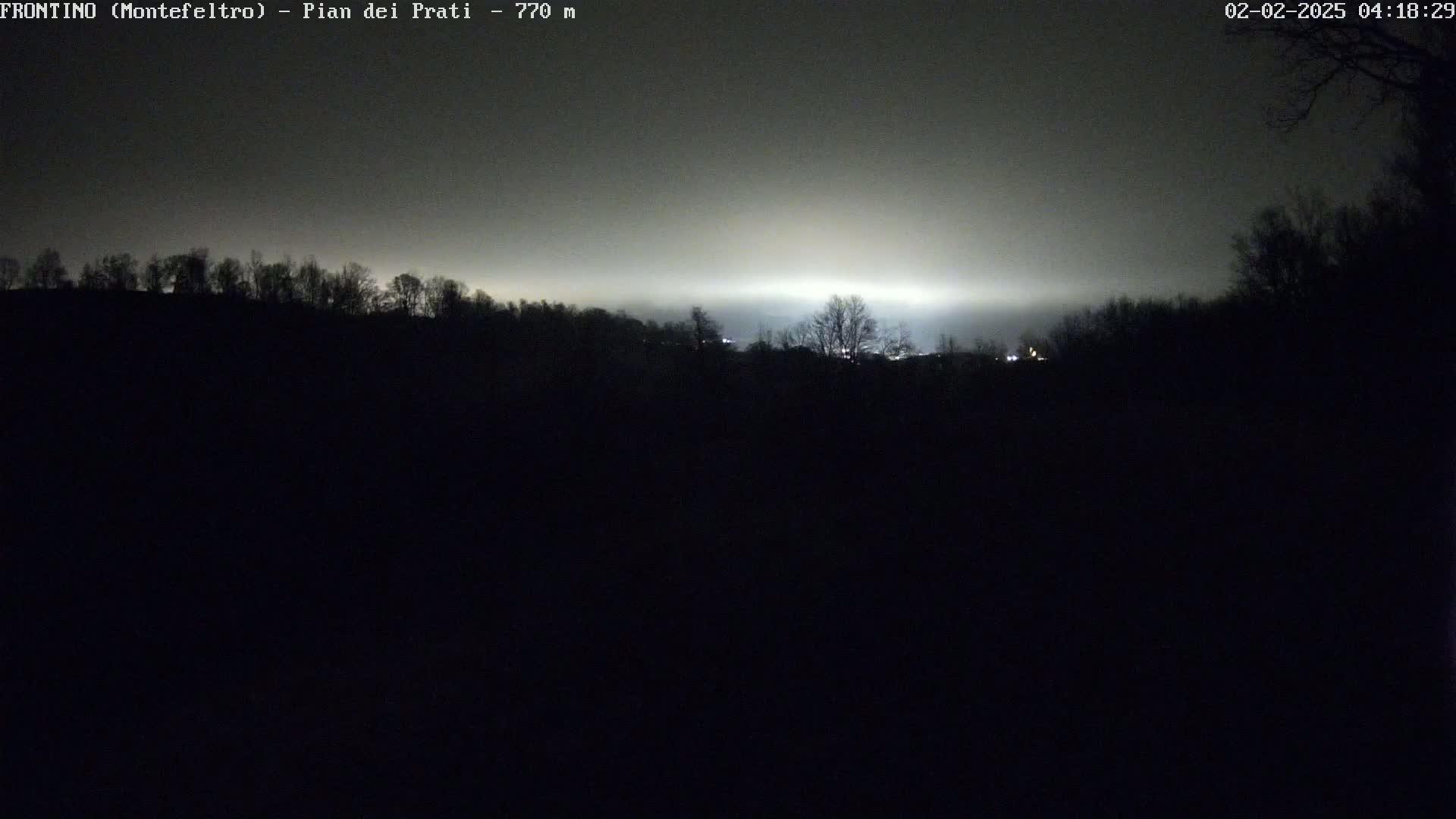 A nighttime landscape shows a silhouetted line of trees under a light gray, foggy sky.