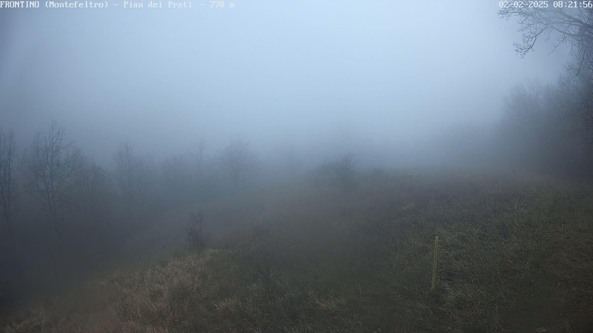 Pian dei Prati, Mount Carpegna Live Cam - Carpegna, Marche, Italy