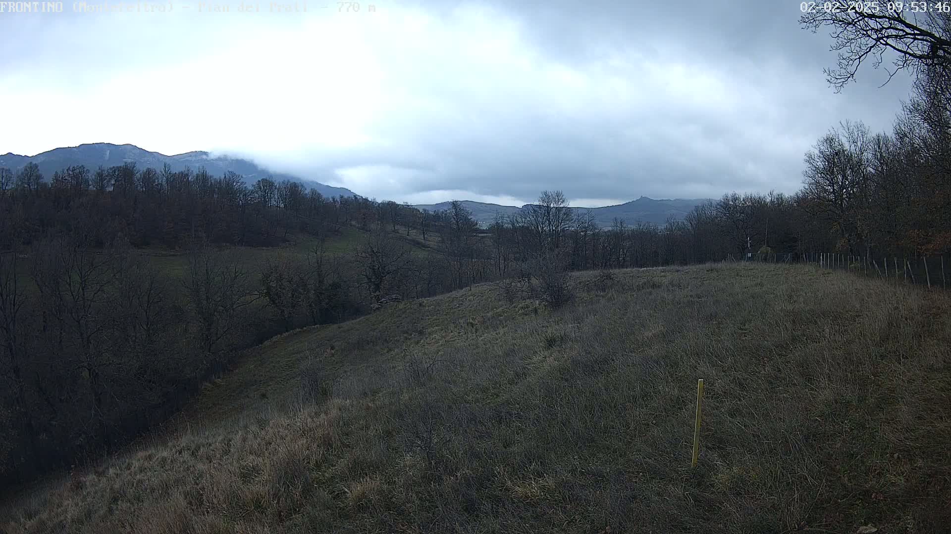 A mostly barren field slopes down towards a line of leafless trees and distant, cloudy mountains.