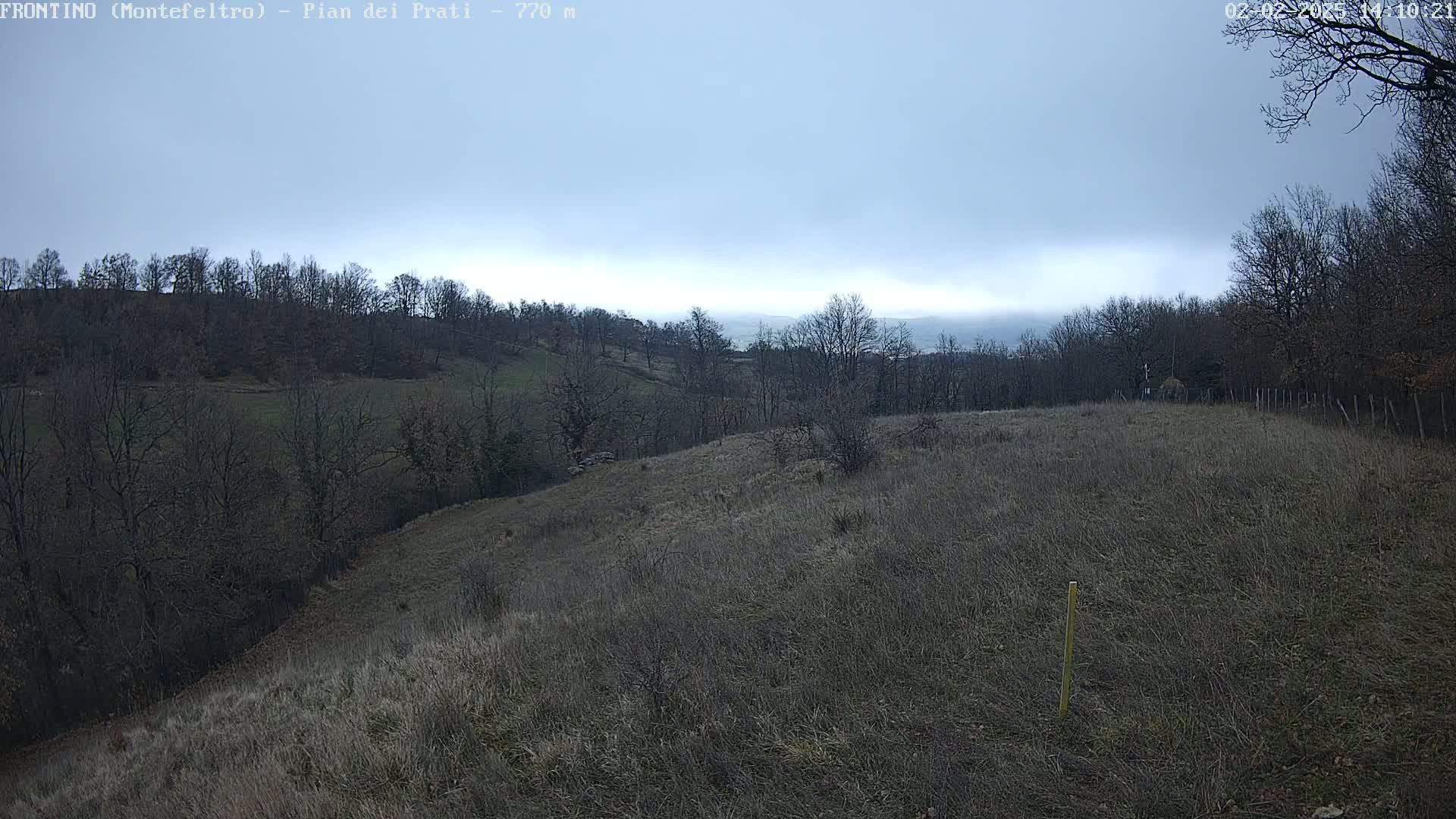 A view of a hilly, grassy landscape under an overcast sky shows bare, winter trees on the hillsides.