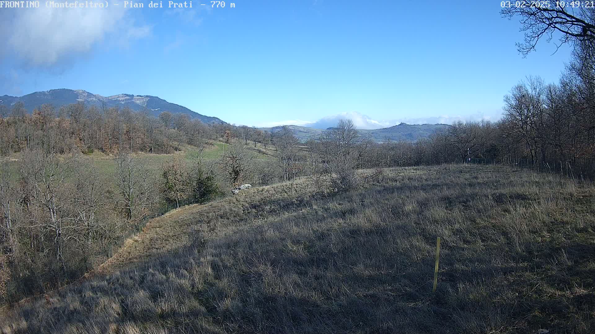 A mostly clear blue sky overlooks a hilly landscape of leafless trees and dry, brown grass under a few scattered clouds.