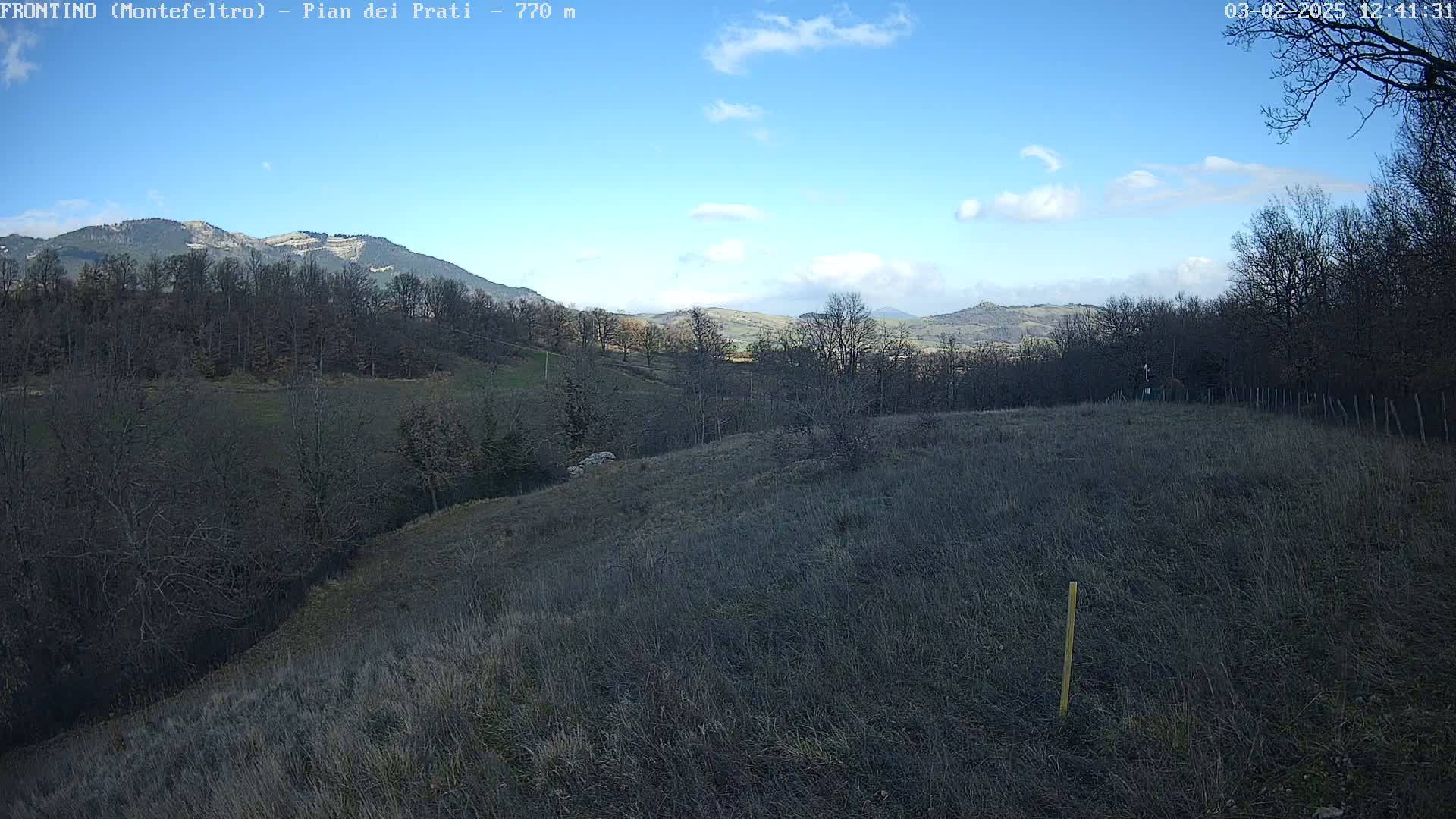A mostly sunny day reveals a hilly landscape with sparse, dry grass and leafless trees, extending to a mountain range in the distance.