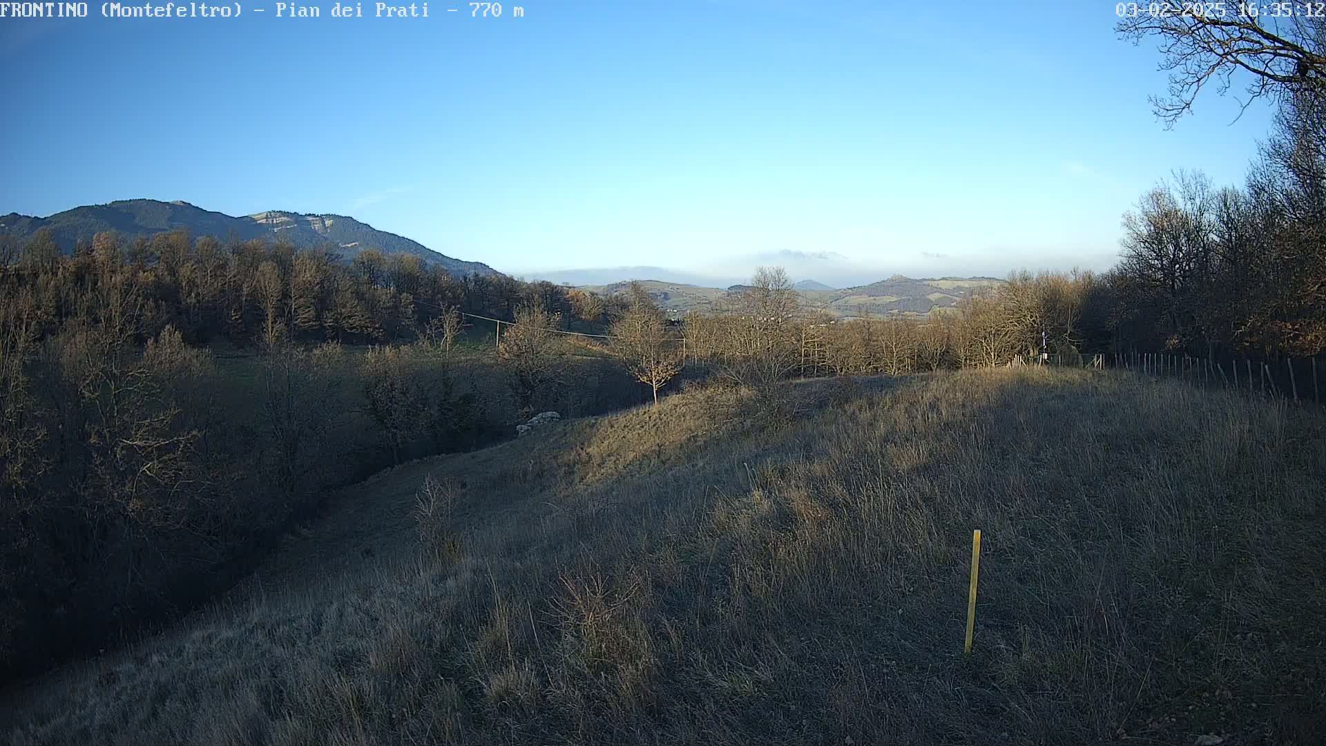 A view of a hilly landscape under a clear blue sky shows leafless trees and dry, brown grass in the foreground, with a forest and distant mountains in the background.