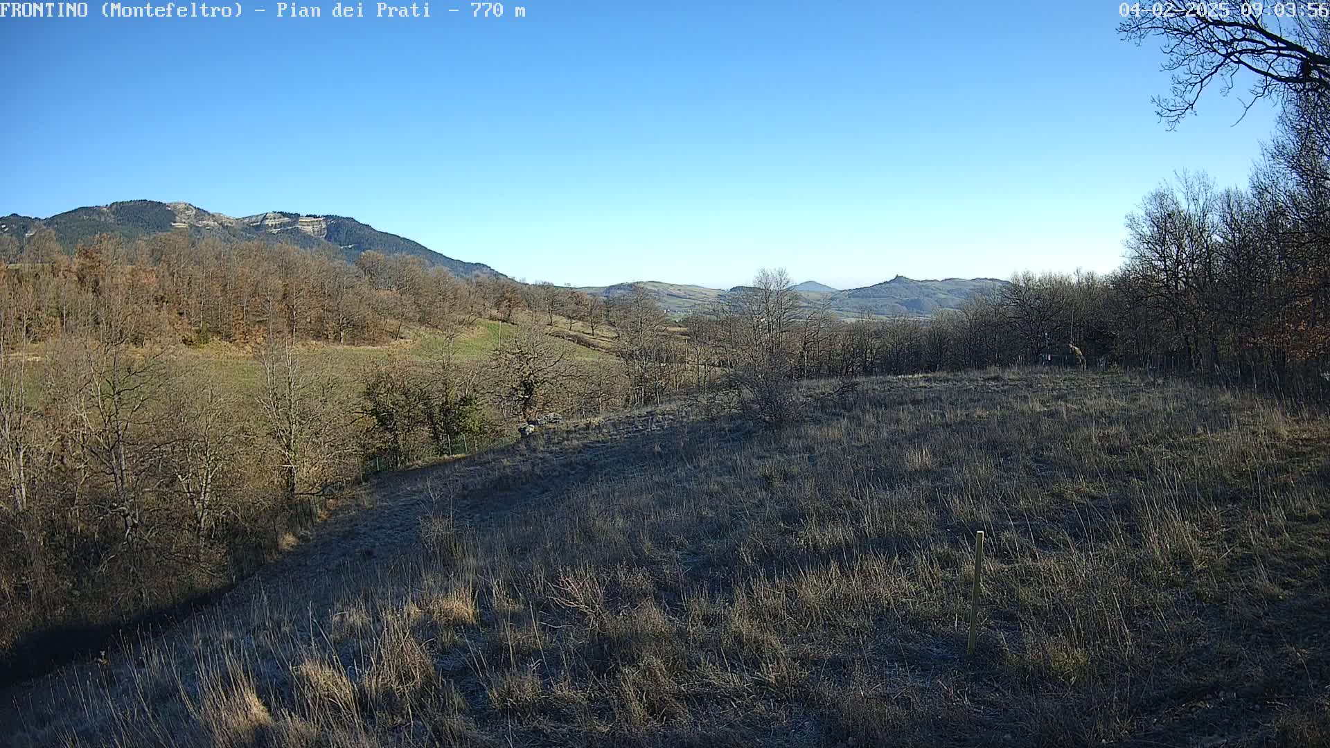 A mostly clear blue sky overlooks a hilly landscape with bare winter trees and brown, grassy fields.