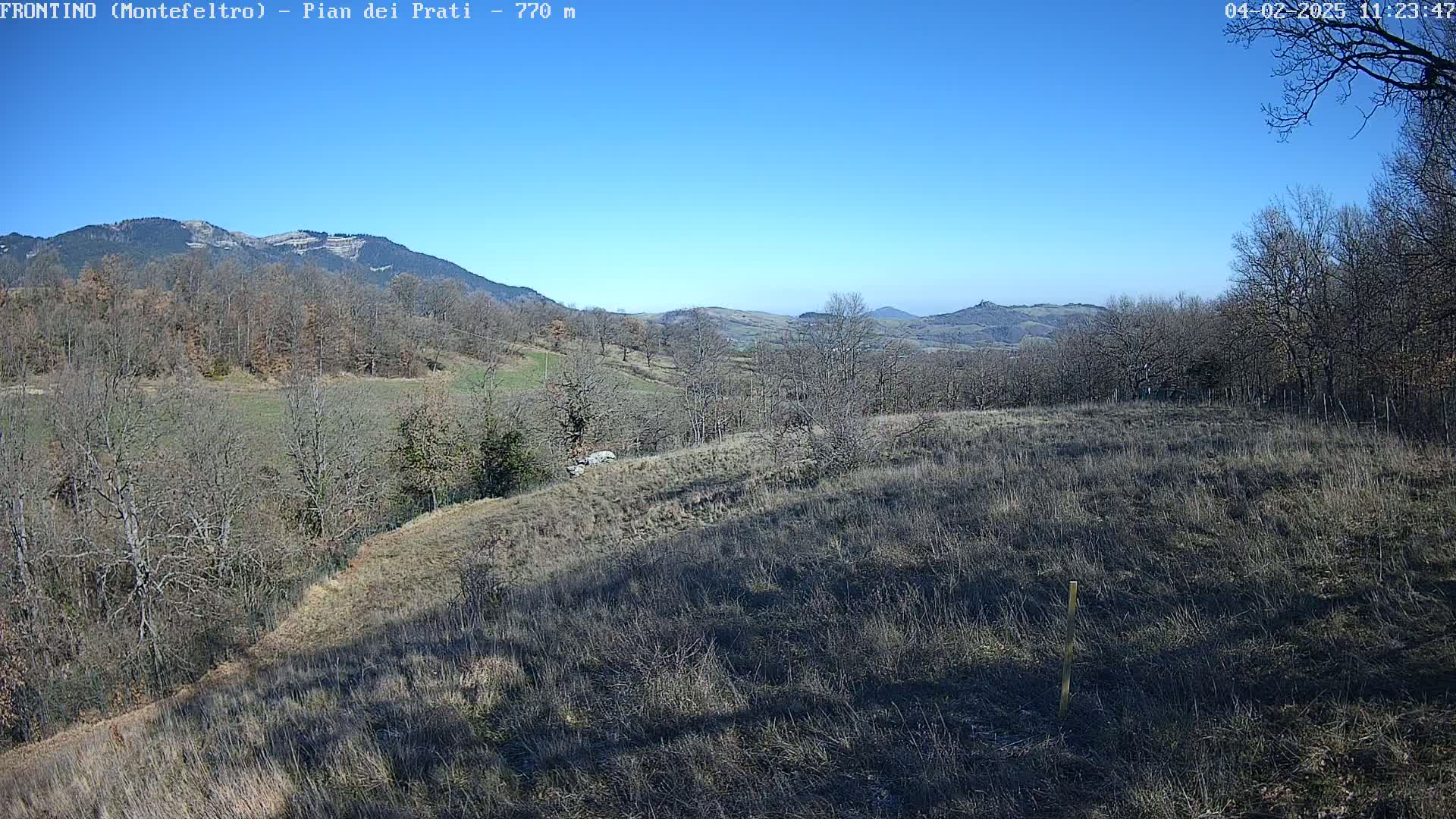 A hilly landscape with bare, winter trees and dry, brown grass under a clear blue sky.