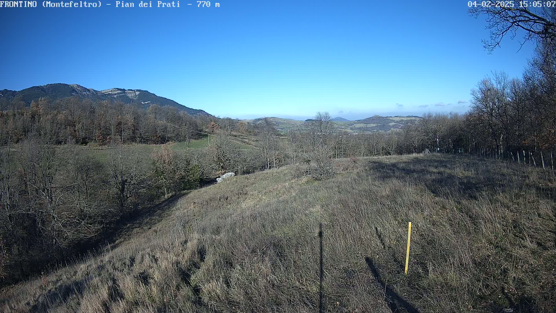 A high-angle view of a hilly landscape with leafless trees and dry grass under a clear blue sky.