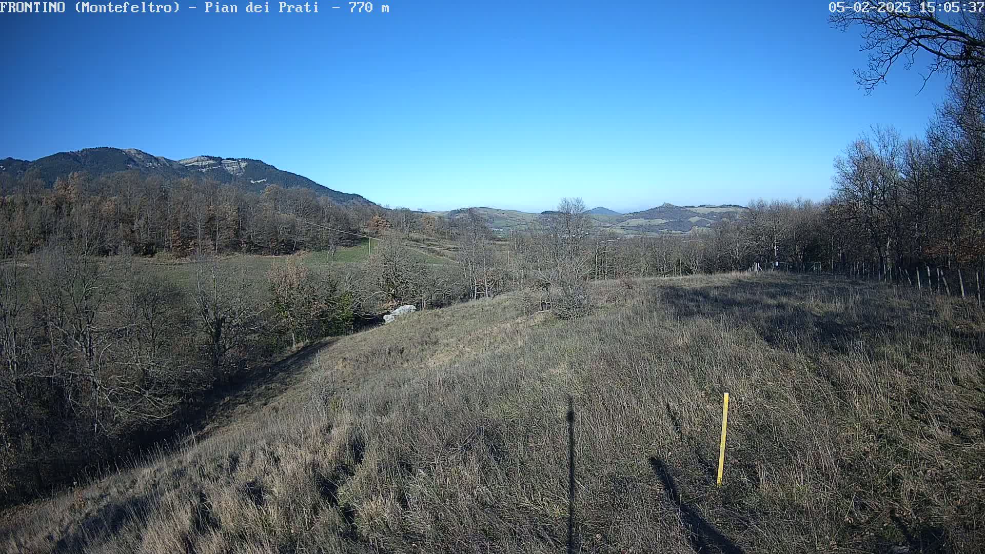 A high-angle, long shot shows a mostly barren, grassy hillside under a clear blue sky, with leafless trees and distant hills in the background.