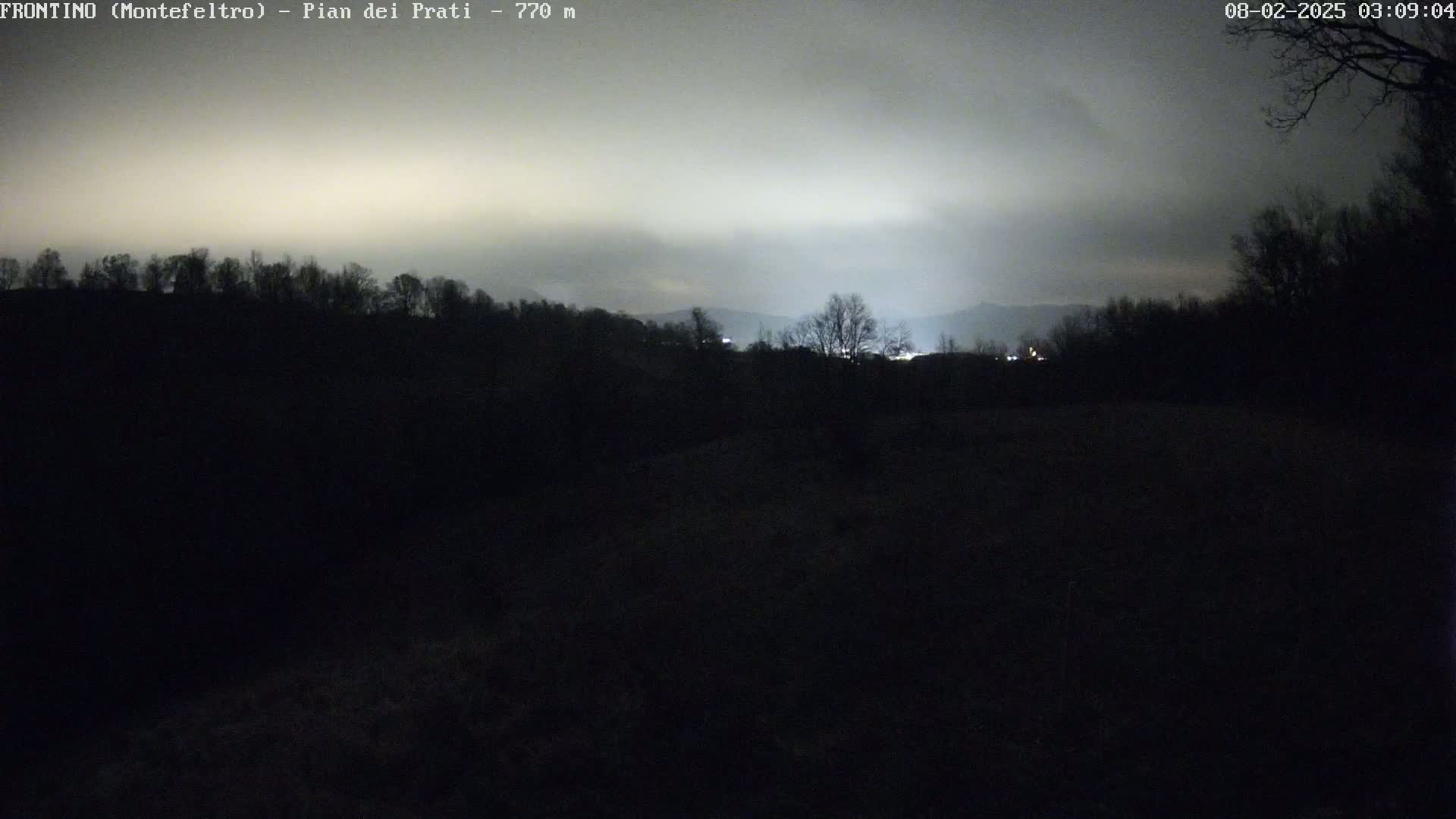 A dark, nighttime landscape shows a line of silhouetted trees on a hill under a cloudy, light gray sky.