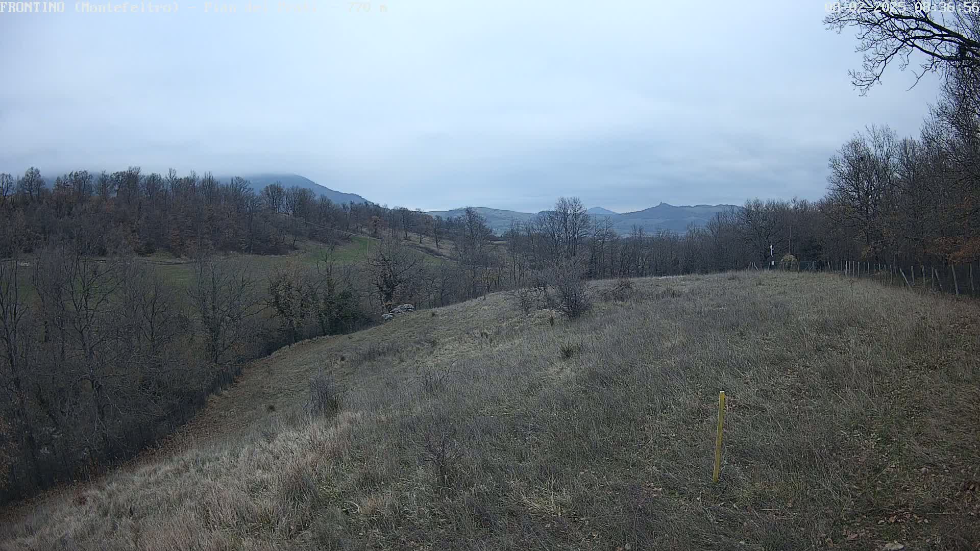 A view of a hilly landscape with bare winter trees and dry, brown grass under a cloudy sky.