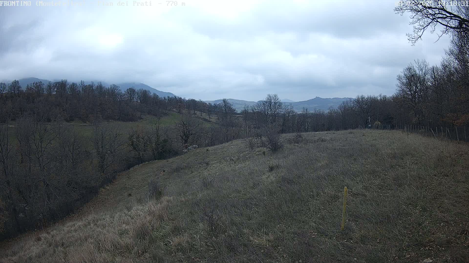 A view of a hilly, grassy landscape under a cloudy sky, with bare, deciduous trees scattered across the foreground and background.