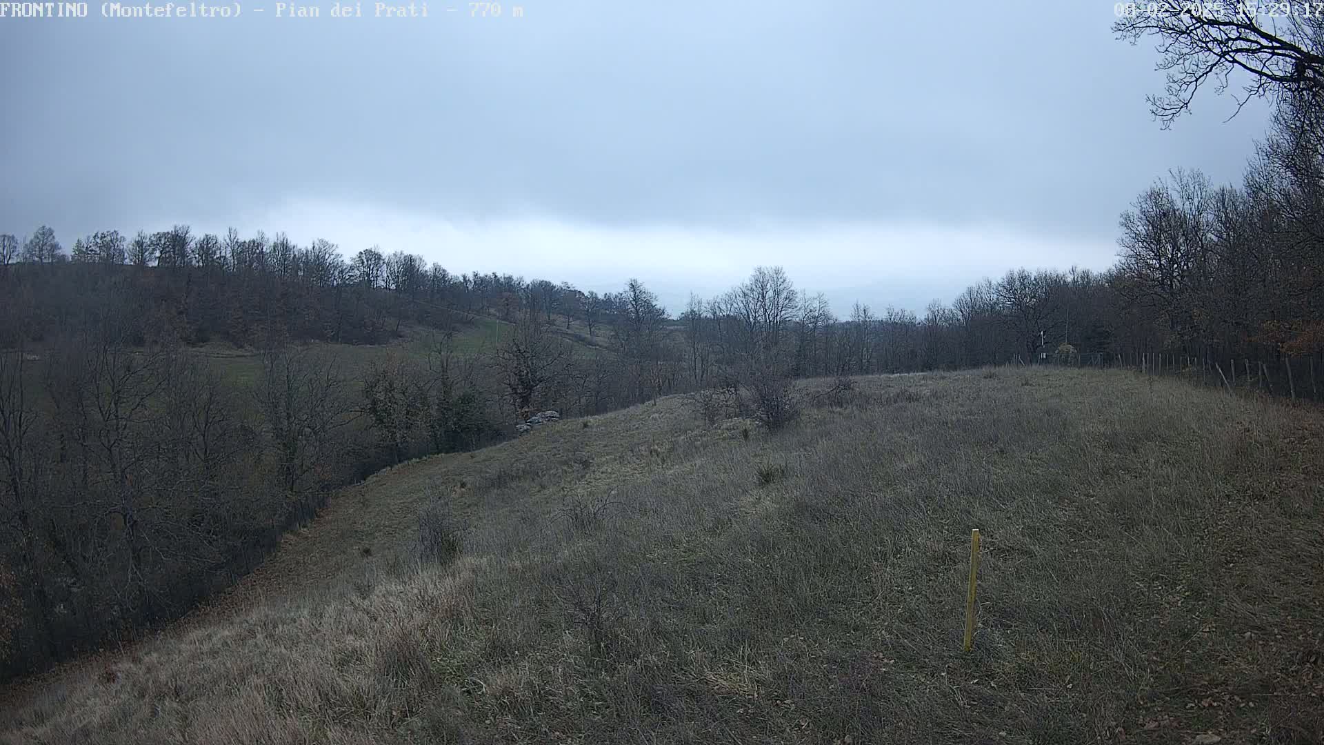 A view of a hilly landscape under an overcast sky shows bare, deciduous trees and dry, brown grass.