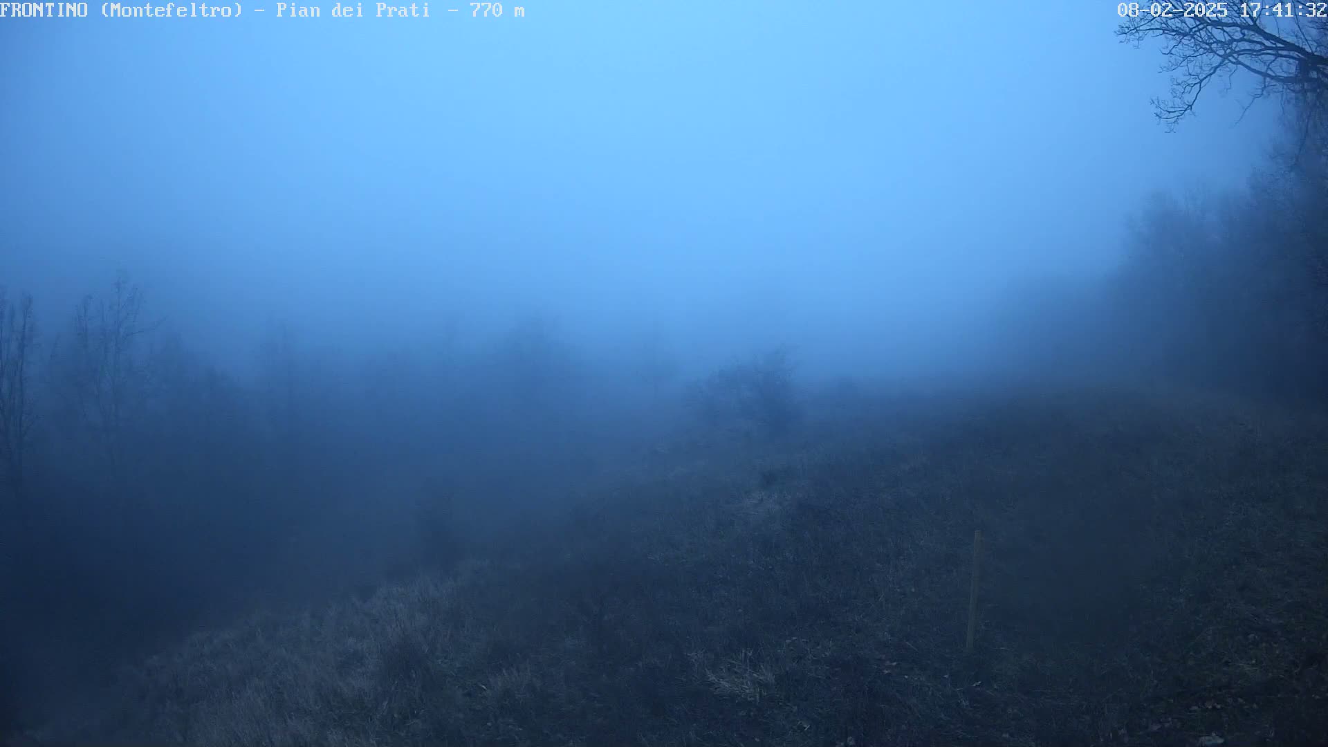 A foggy, dark blue landscape shows a hill covered in low vegetation and sparse trees under a twilight sky.