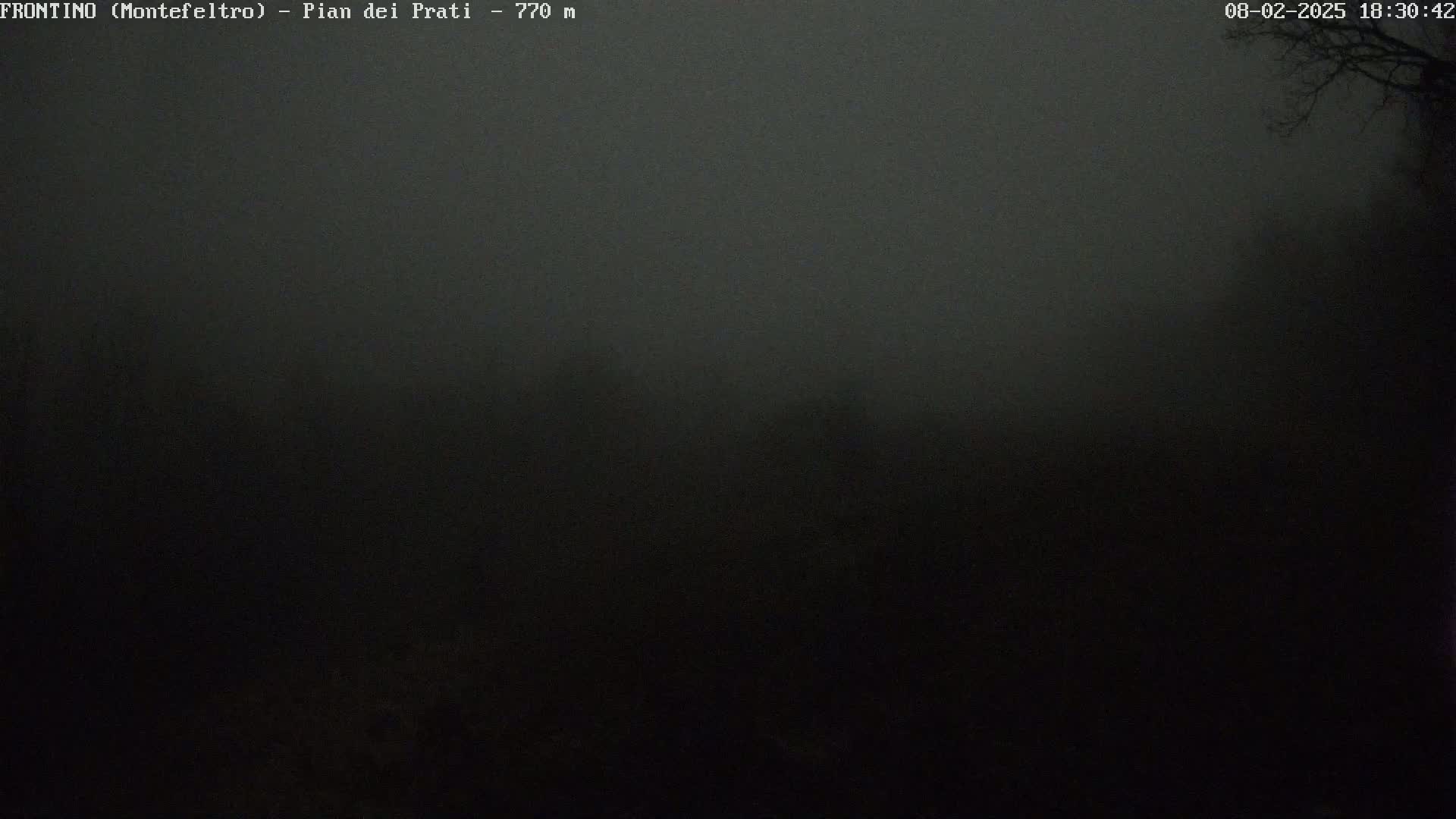 A dark, foggy landscape is visible at night.