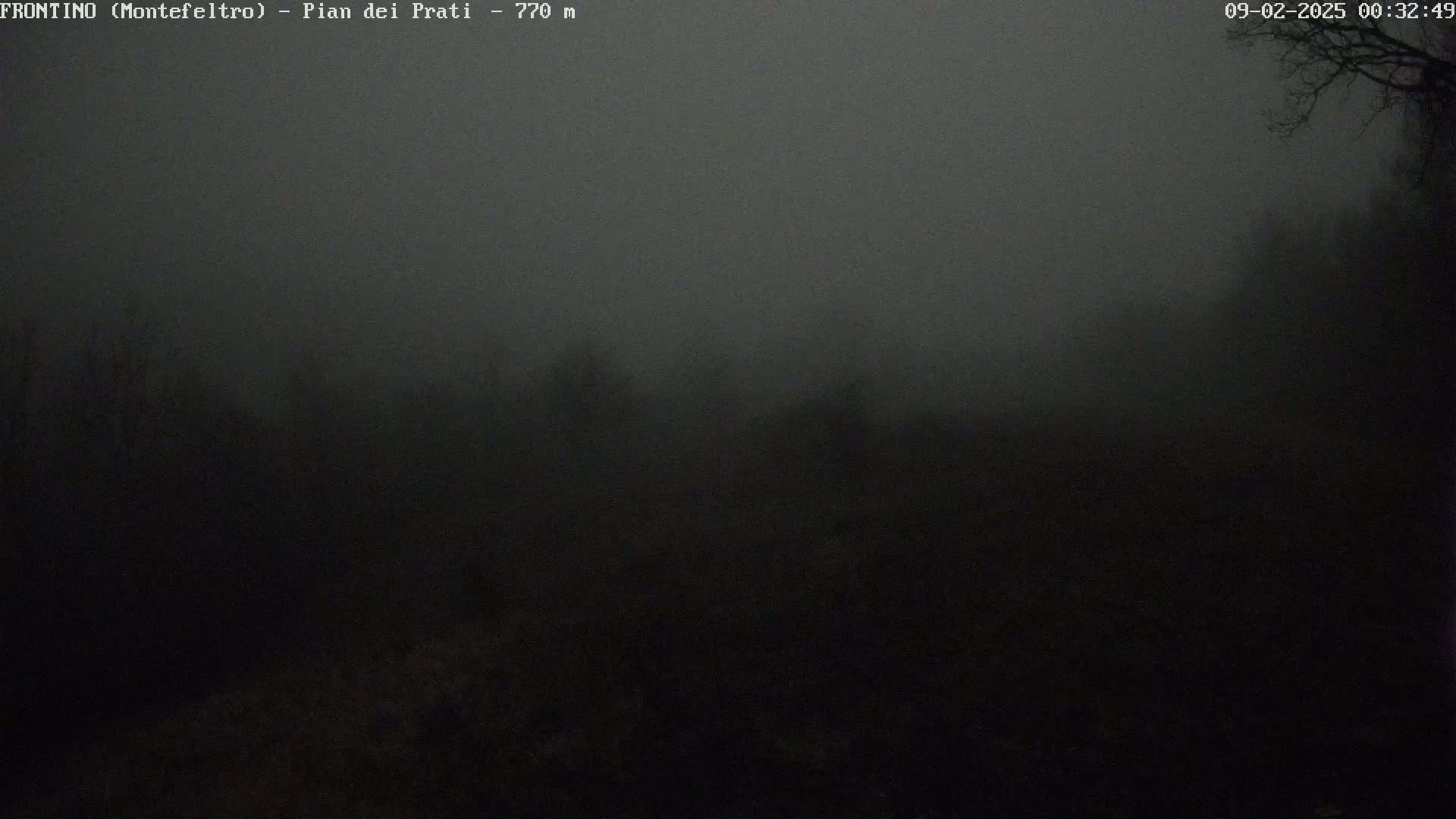 A dark, foggy landscape is visible at night, with the silhouettes of trees barely discernible in the heavy mist.