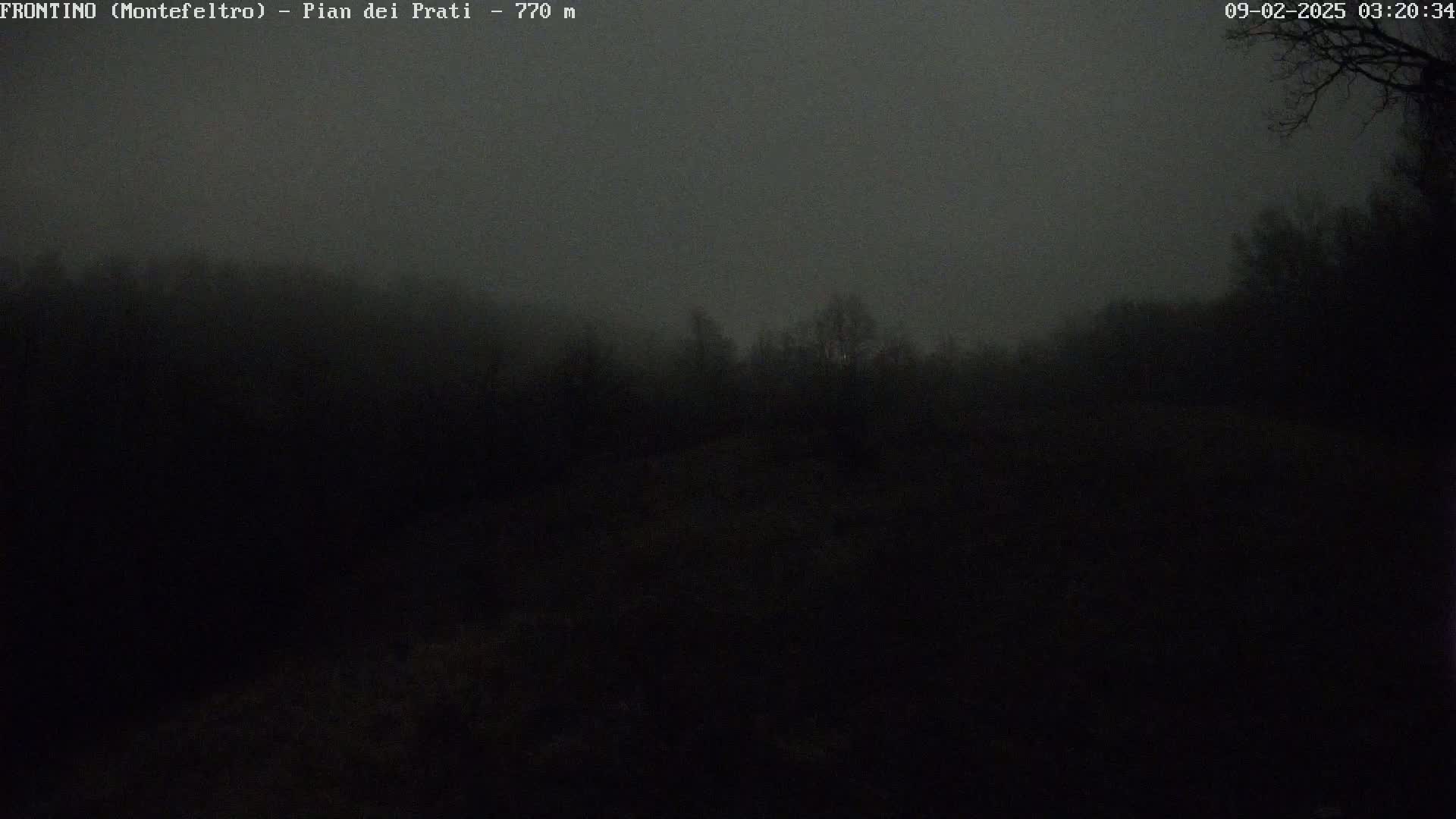 A dark, foggy landscape is visible at night, showing a low-lying area of trees and vegetation.