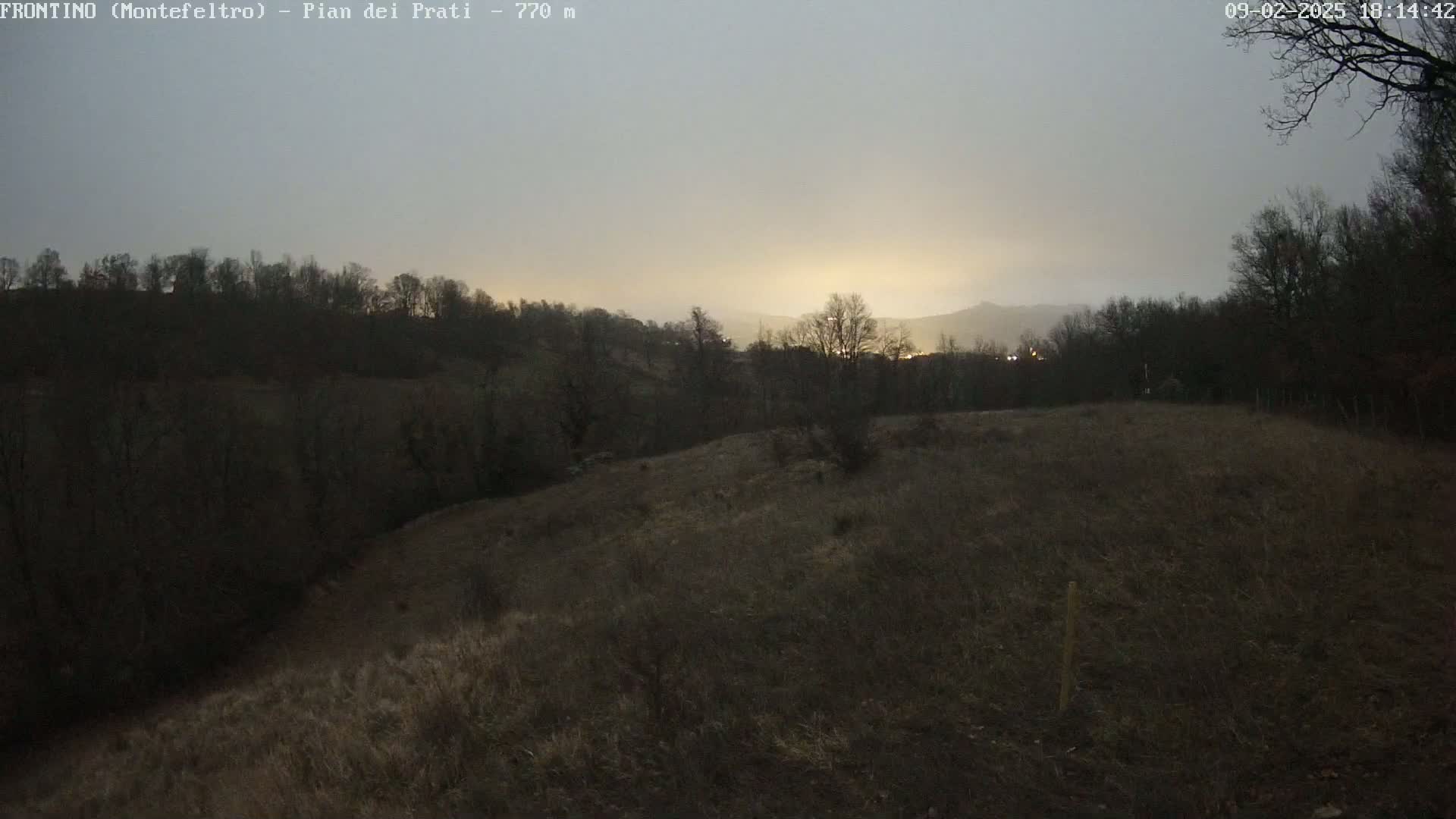 A flat, grassy field stretches out before a line of dark trees and hills under a pale, overcast sky.