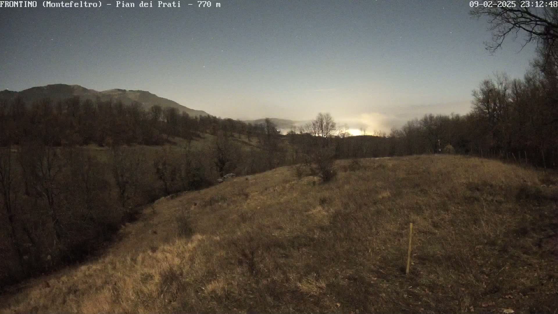 A moonlit, nighttime view of a hilly landscape with sparse, dry grass and leafless trees under a mostly clear sky, with low fog or mist in a valley.
