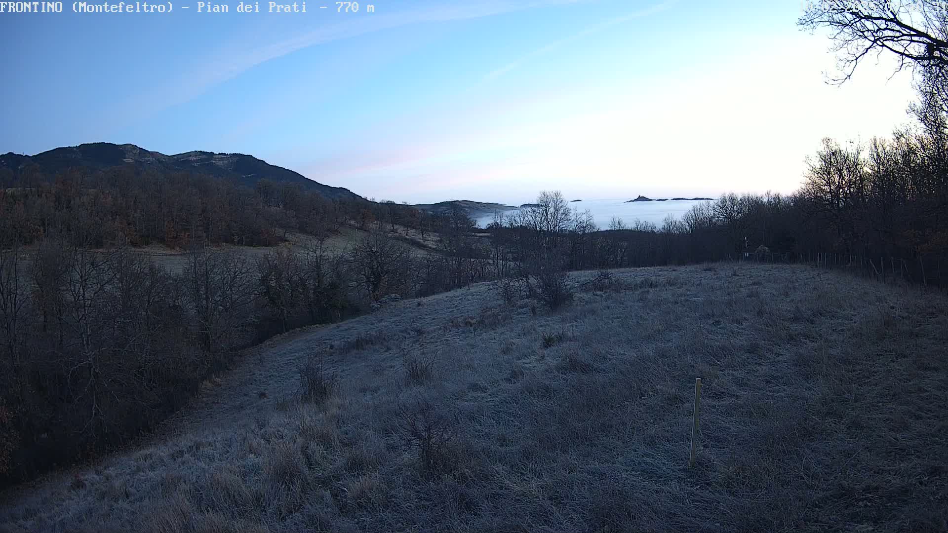 A frost-covered field slopes down to a valley filled with leafless trees, beyond which a layer of fog obscures distant hills under a clear, light-blue sky.